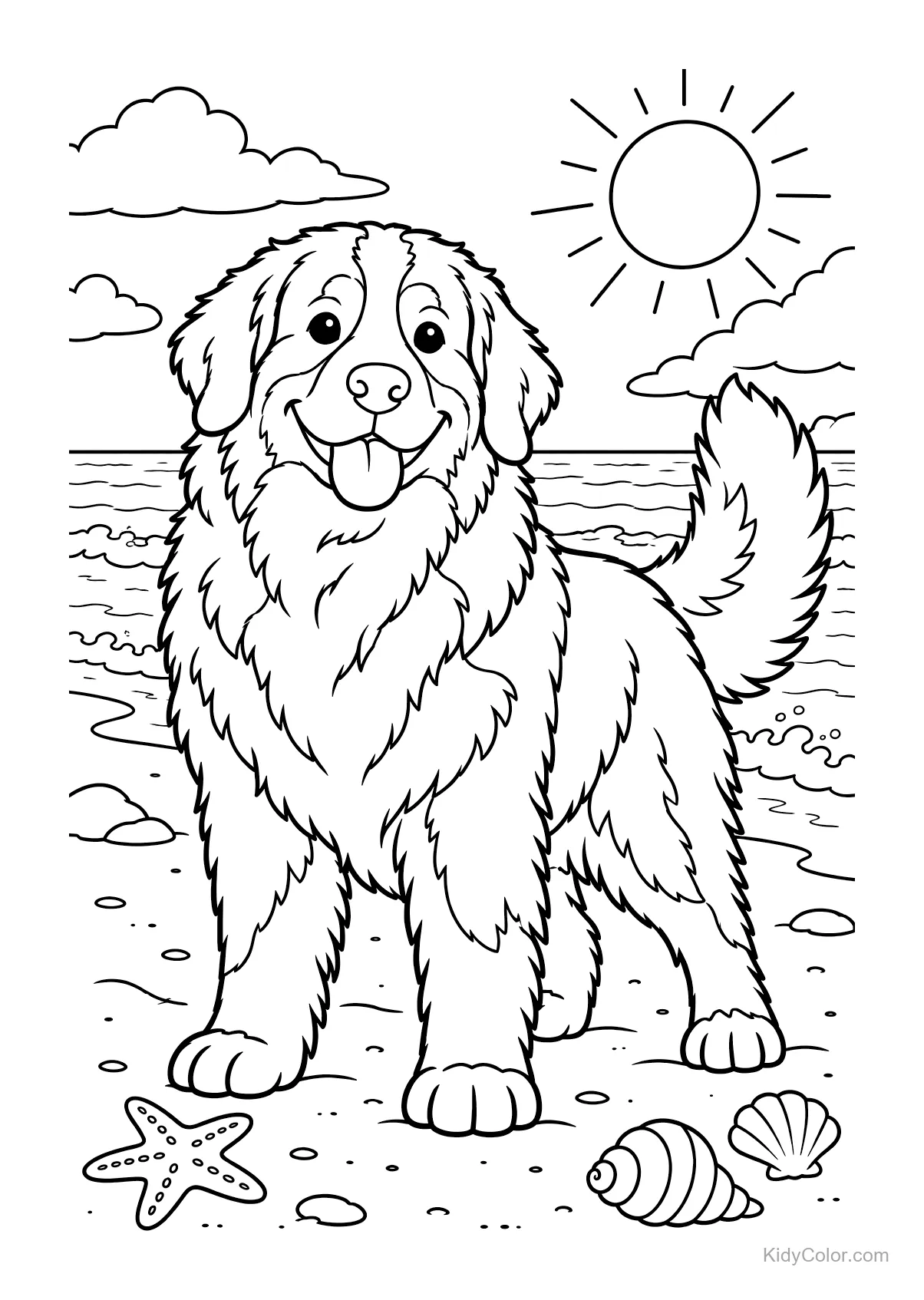 Ein Berner Sennenhund steht am Strand mit Sonne im Hintergrund.