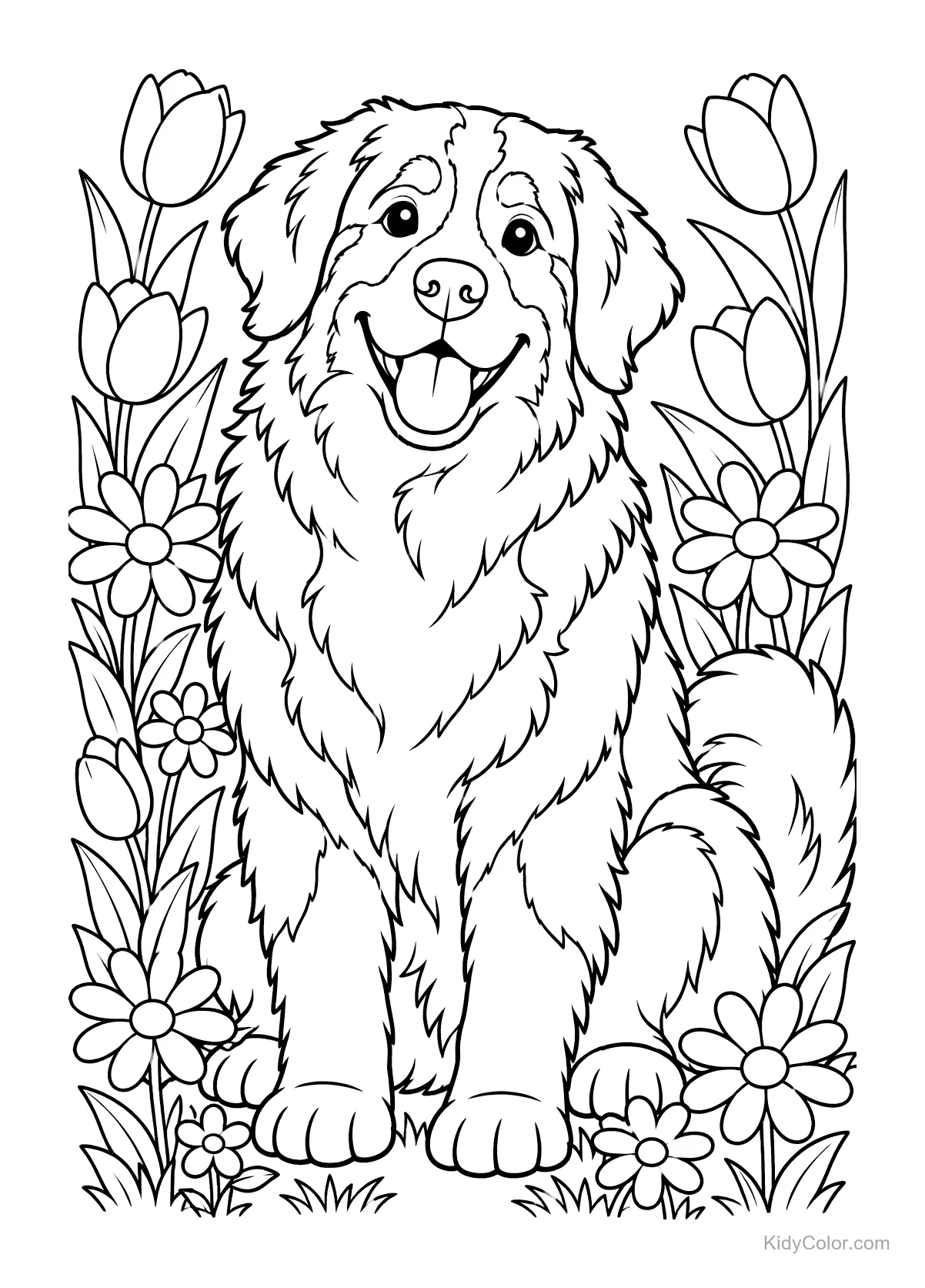 Berner Sennenhund sitzt zwischen Frühlingsblumen.