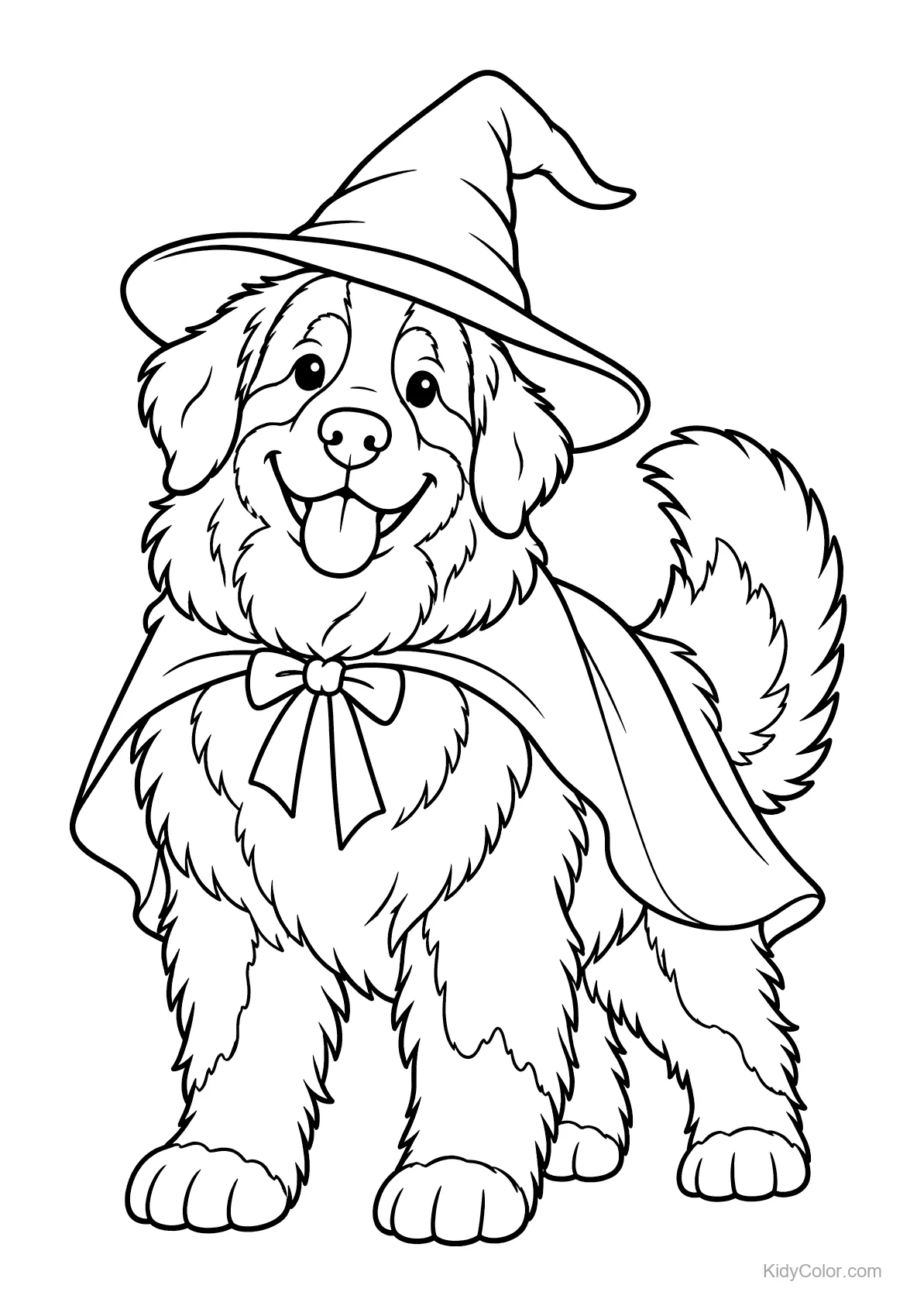 Bouvier bernois portant un chapeau de sorcière et une cape, souriant.