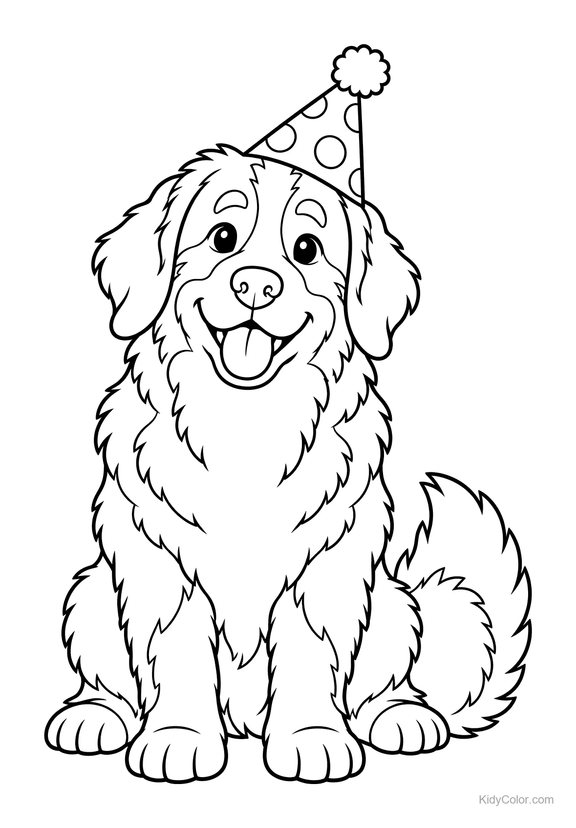 Berner Sennenhund sitzt mit einem Partyhut.