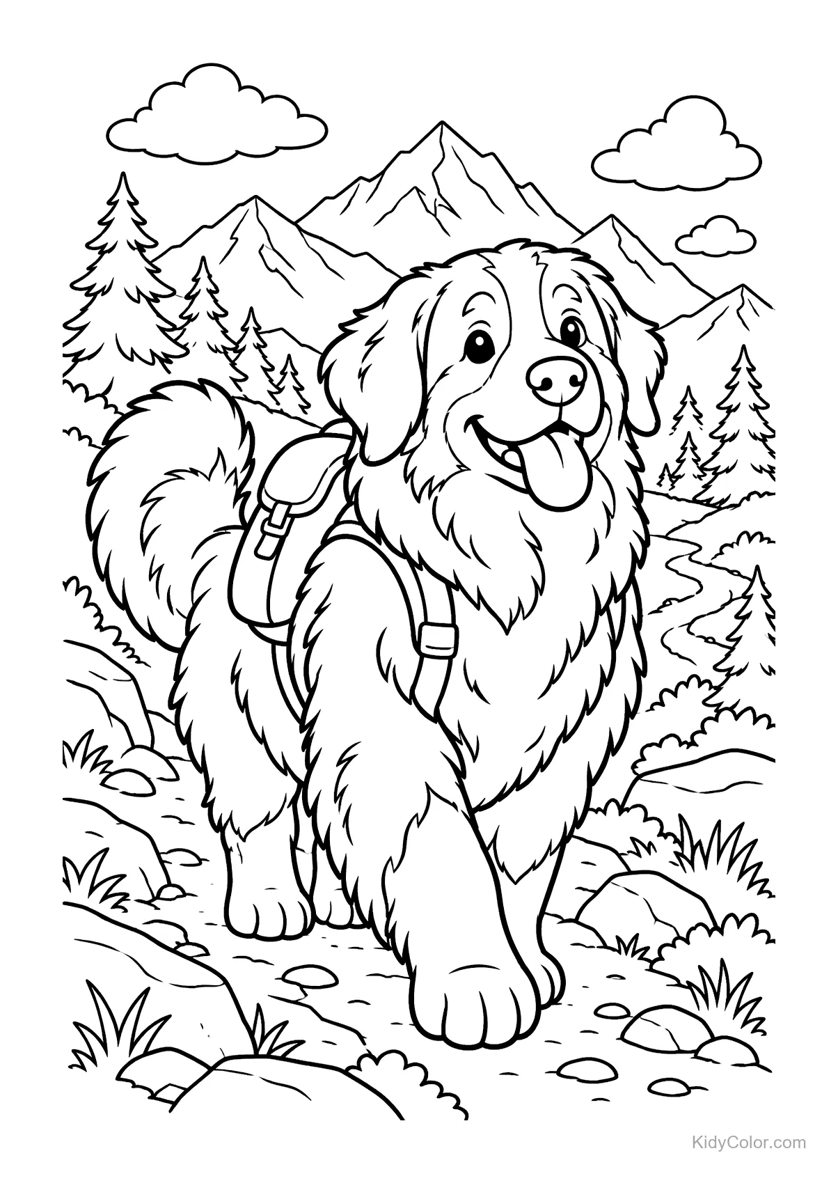 Berner Sennenhund mit Rucksack auf einem Pfad.