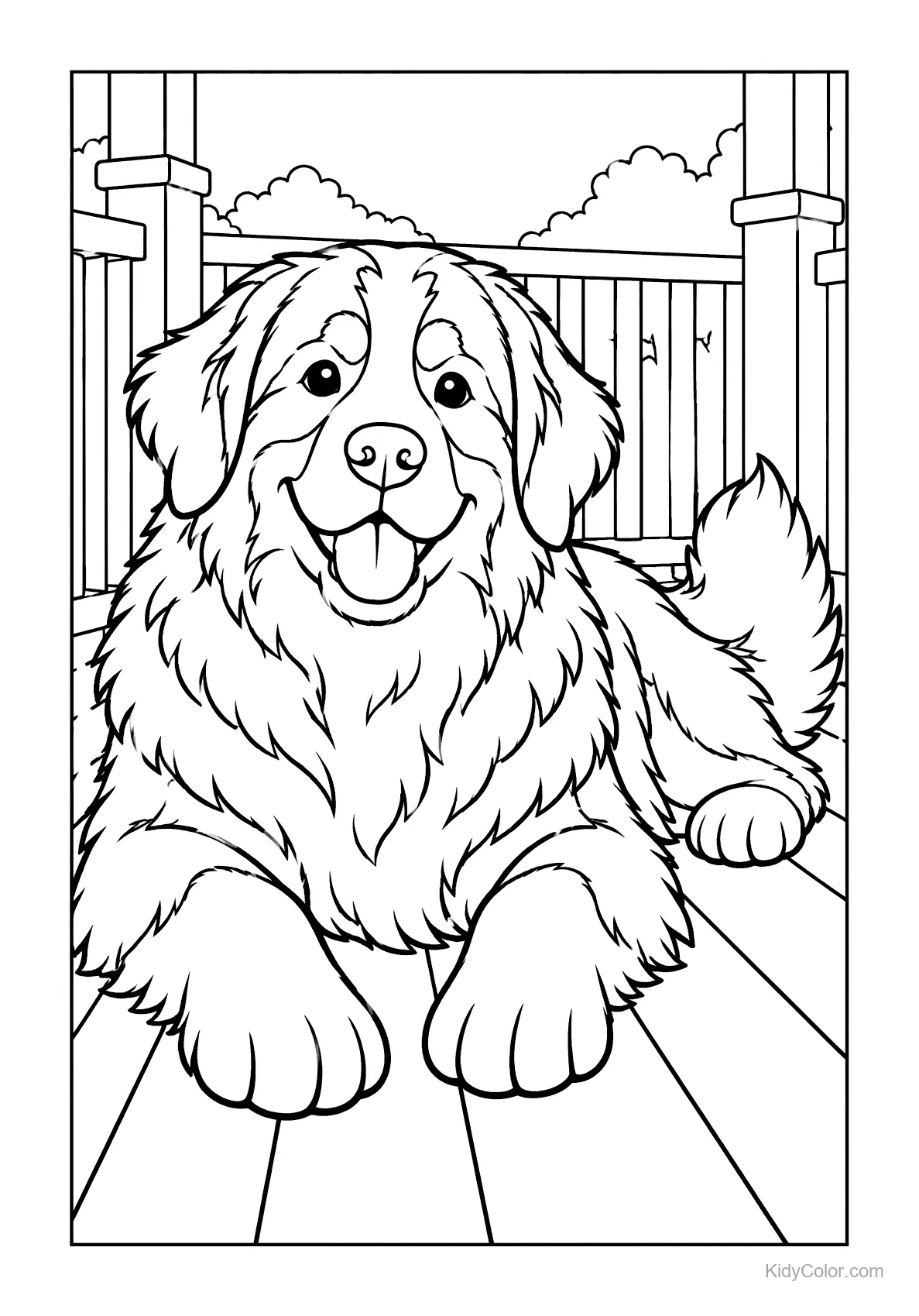 Bernese Mountain Dog lying on a wooden porch.