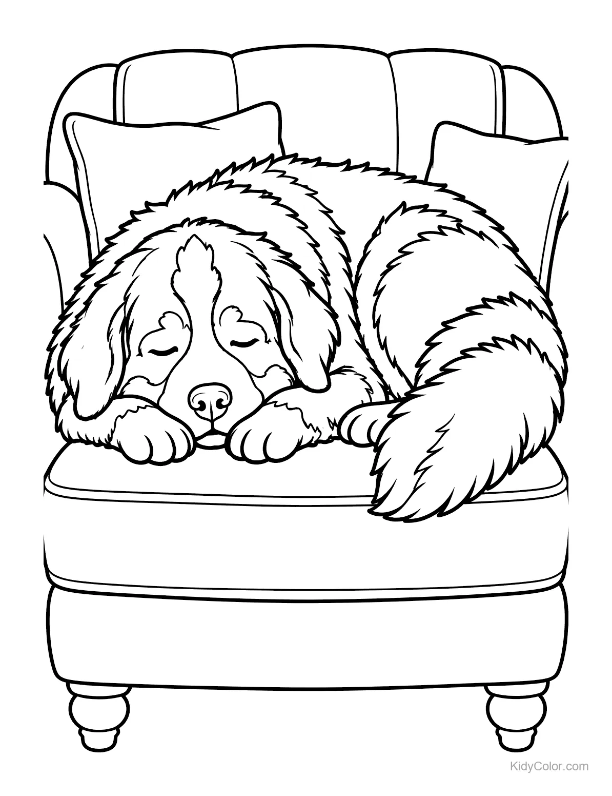 Berner Sennenhund schläft auf einem Sofa mit Kissen.