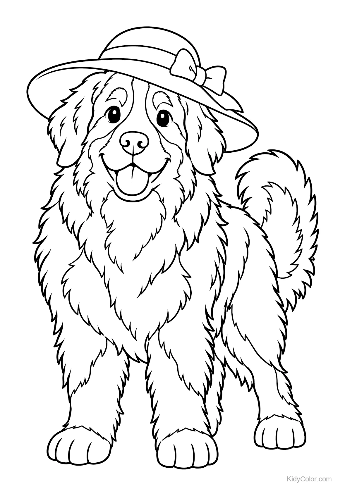 Un Bovaro del Bernese in piedi con un cappello da sole.
