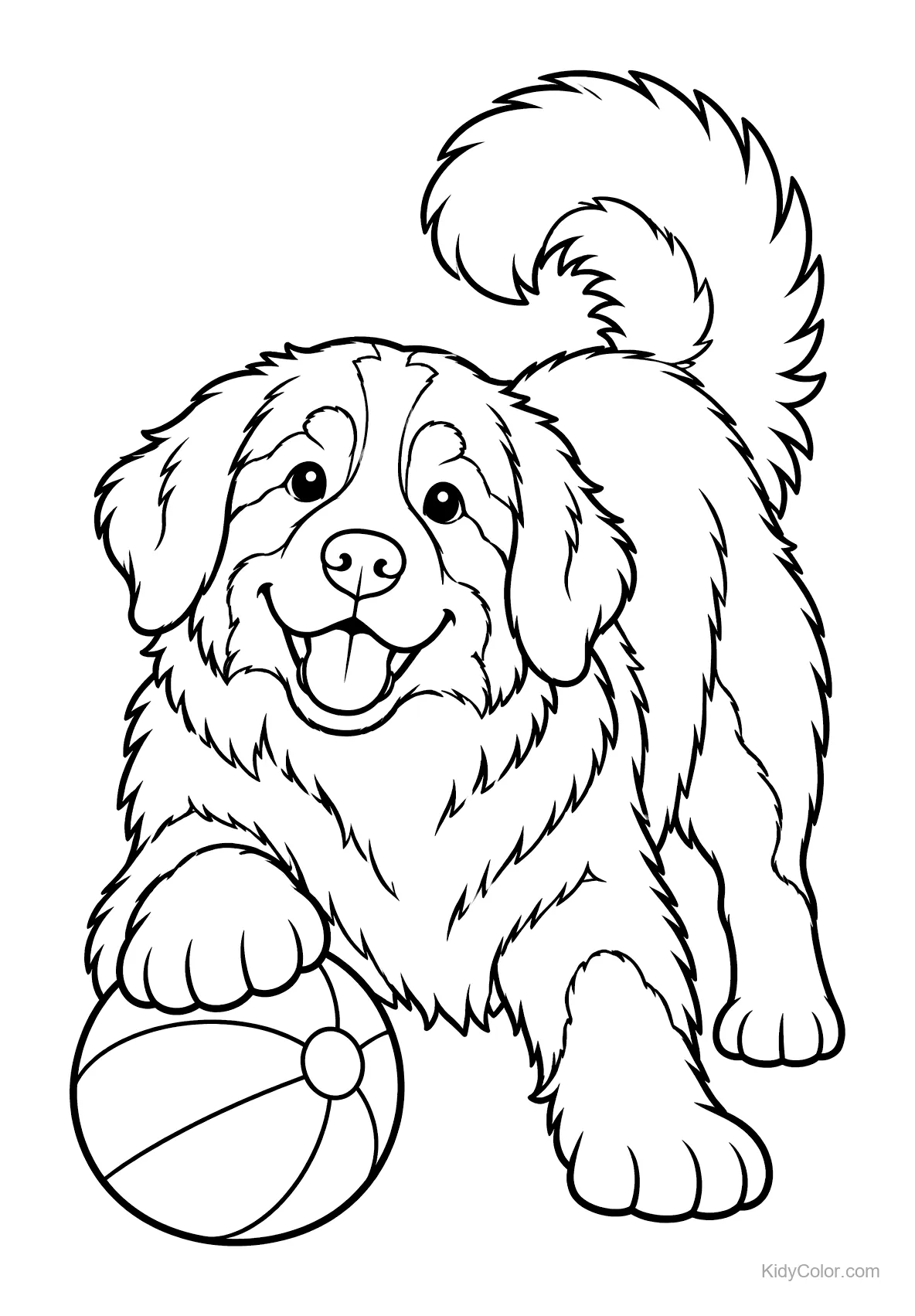 Bouvier bernois jouant avec un ballon, dessin en ligne.