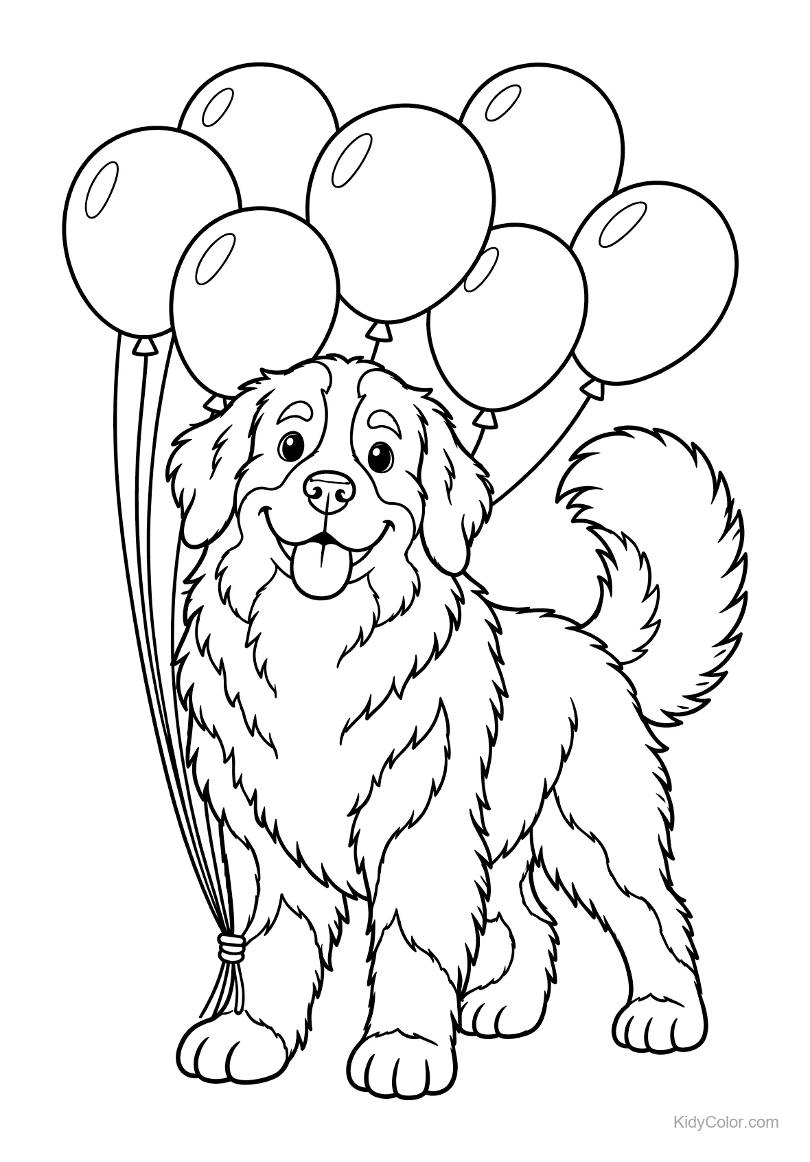 Ein Berner Sennenhund mit Luftballons am Rücken.