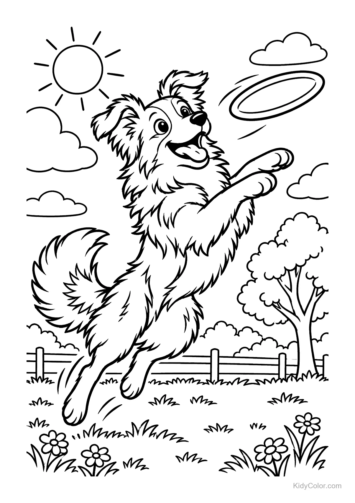 Border Collie jumping to catch a frisbee in a park.