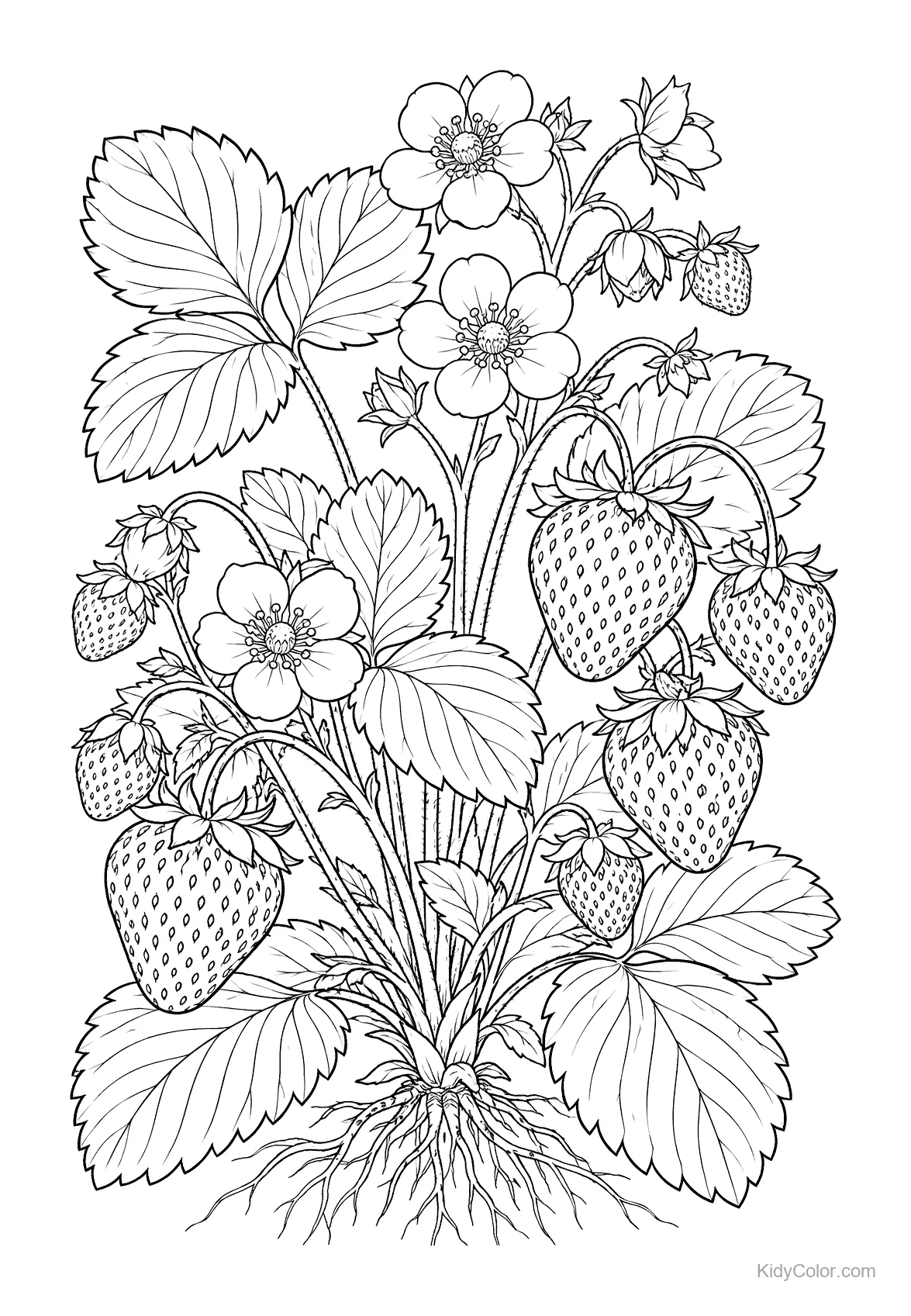 Botanical drawing of a strawberry plant with leaves, flowers, and strawberries.