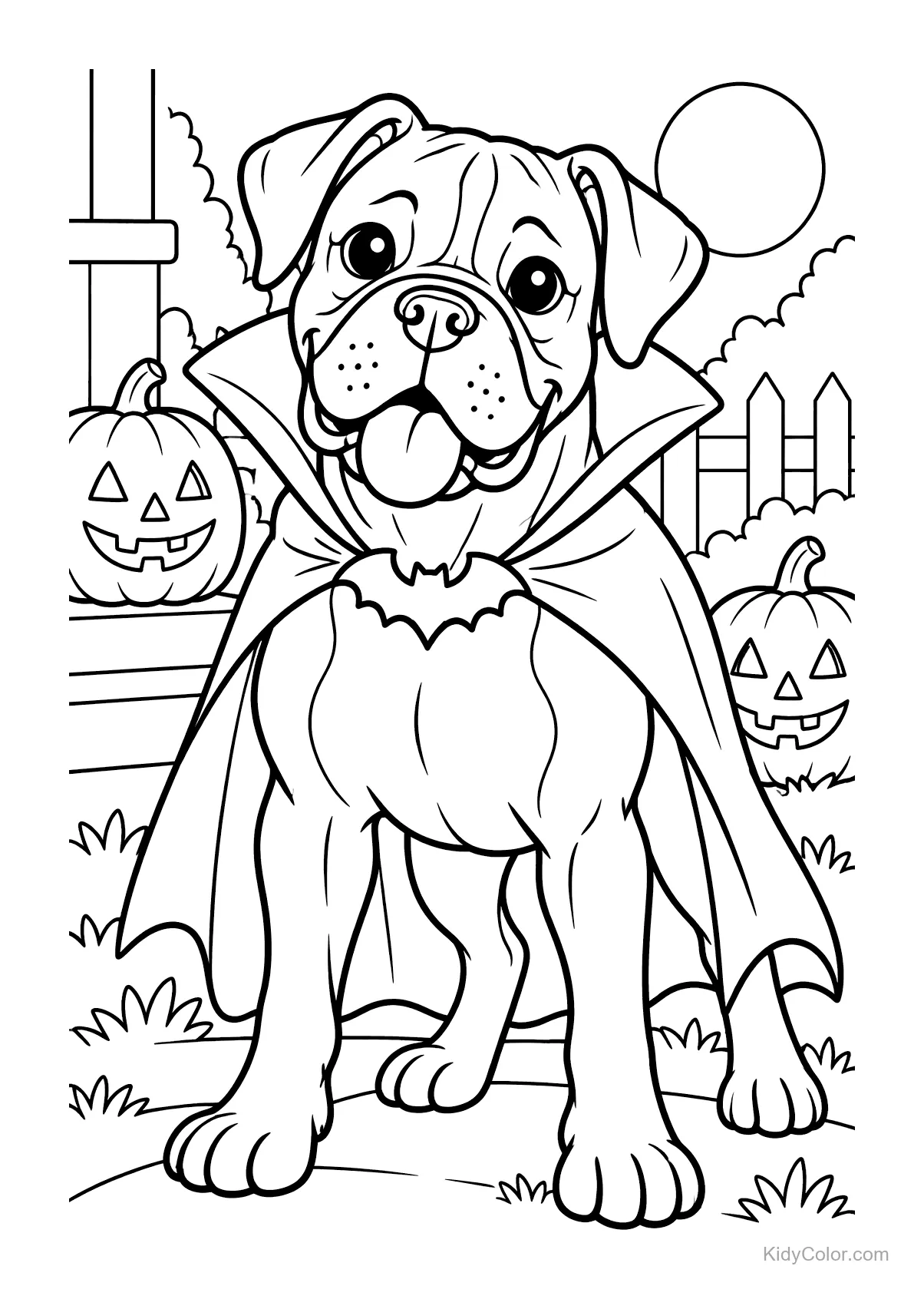 Boxer vestito da vampiro con zucche e luna.