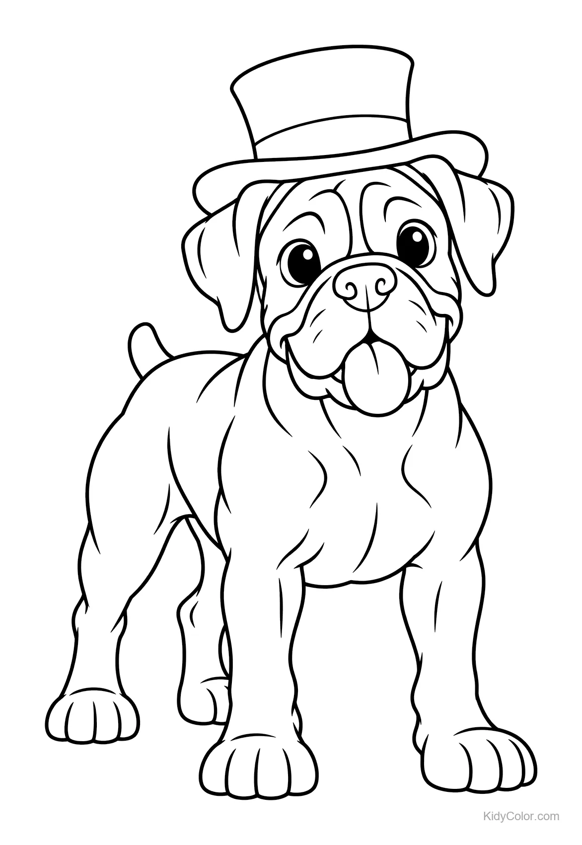 Boxer con cappello alto magico, in piedi.