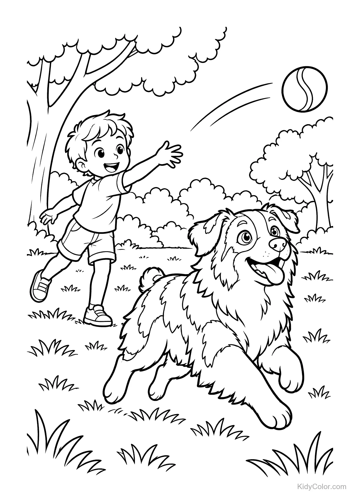 Junge spielt im Park mit einem Australian Shepherd Ball.