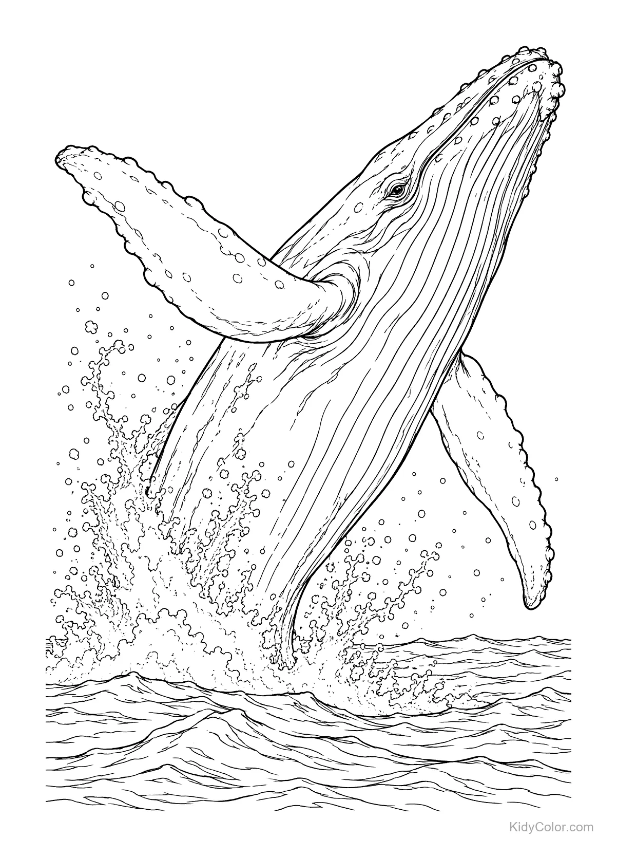Humpback whale breaching the ocean surface.