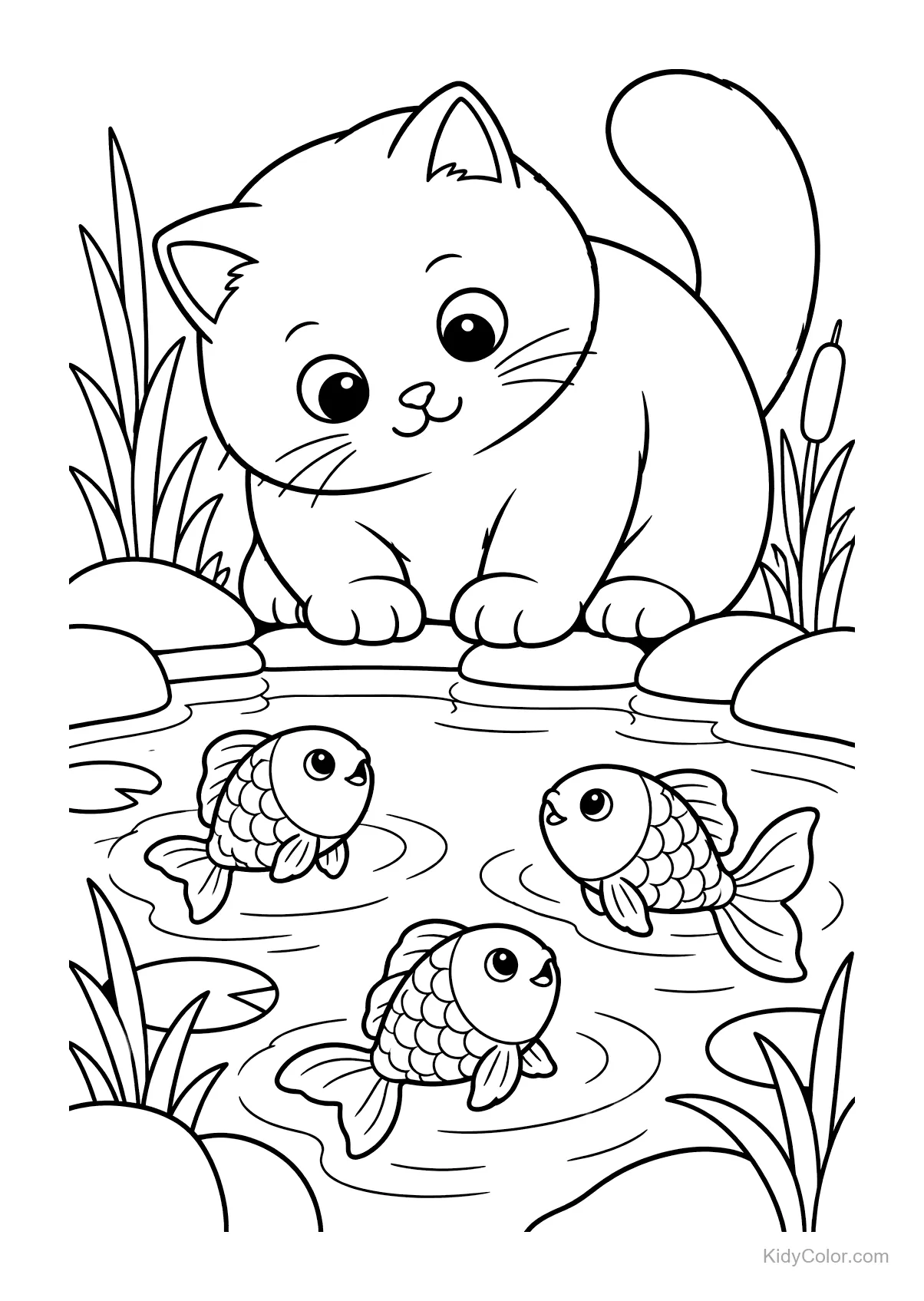 A British Shorthair cat watching fish in a pond.