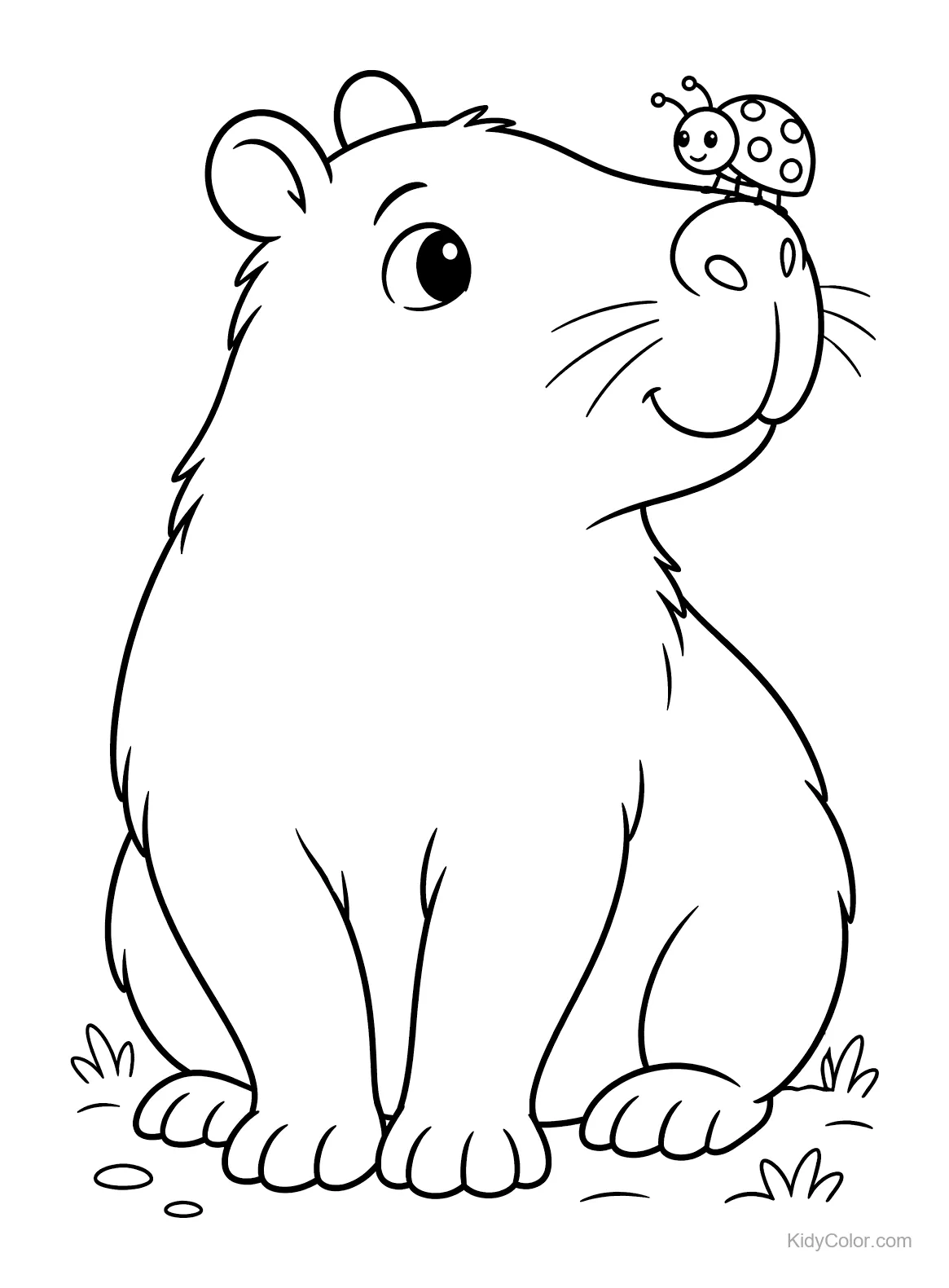 Capybara sitting with a ladybug on its nose.