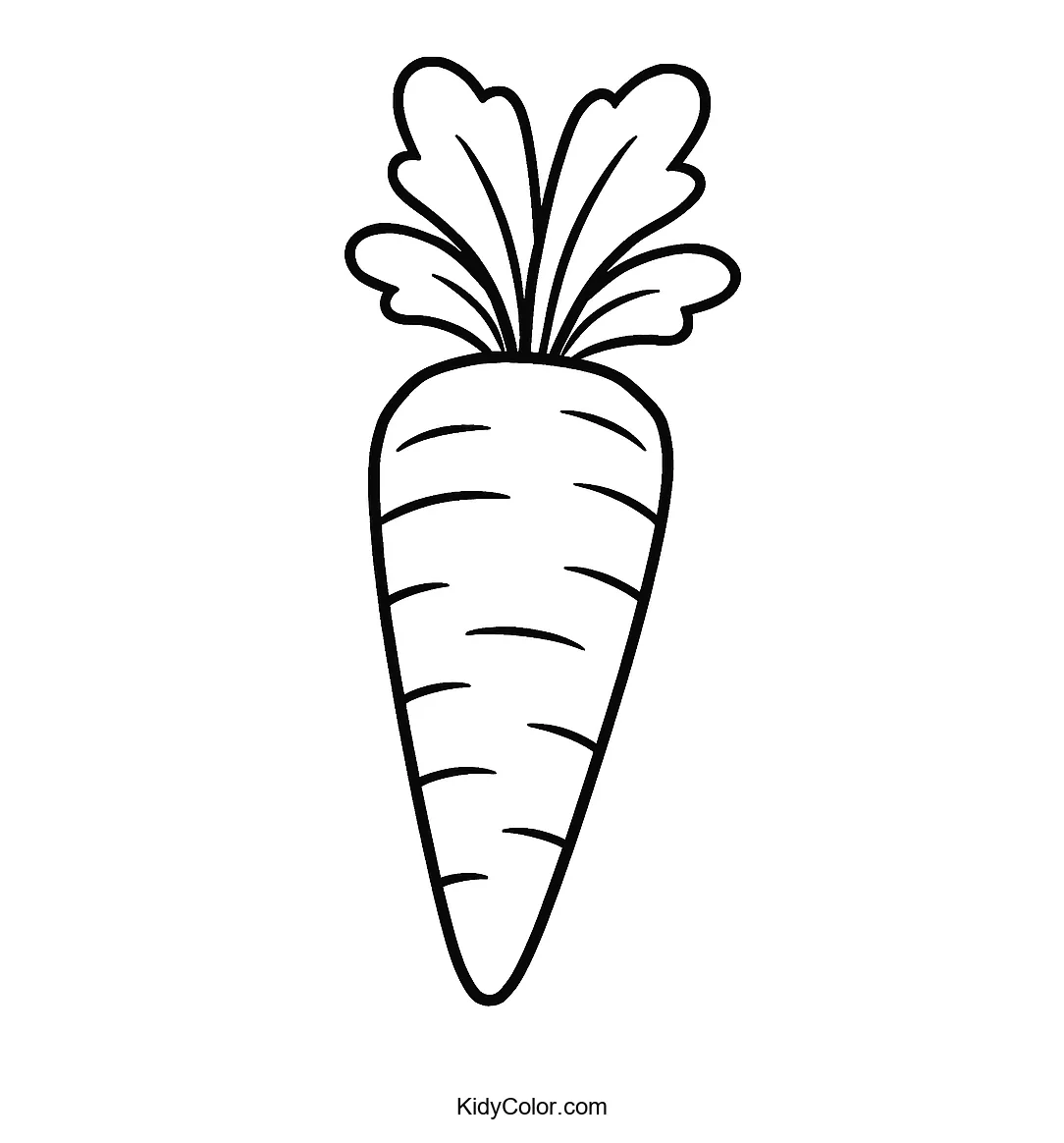 Carrot illustration for coloring
