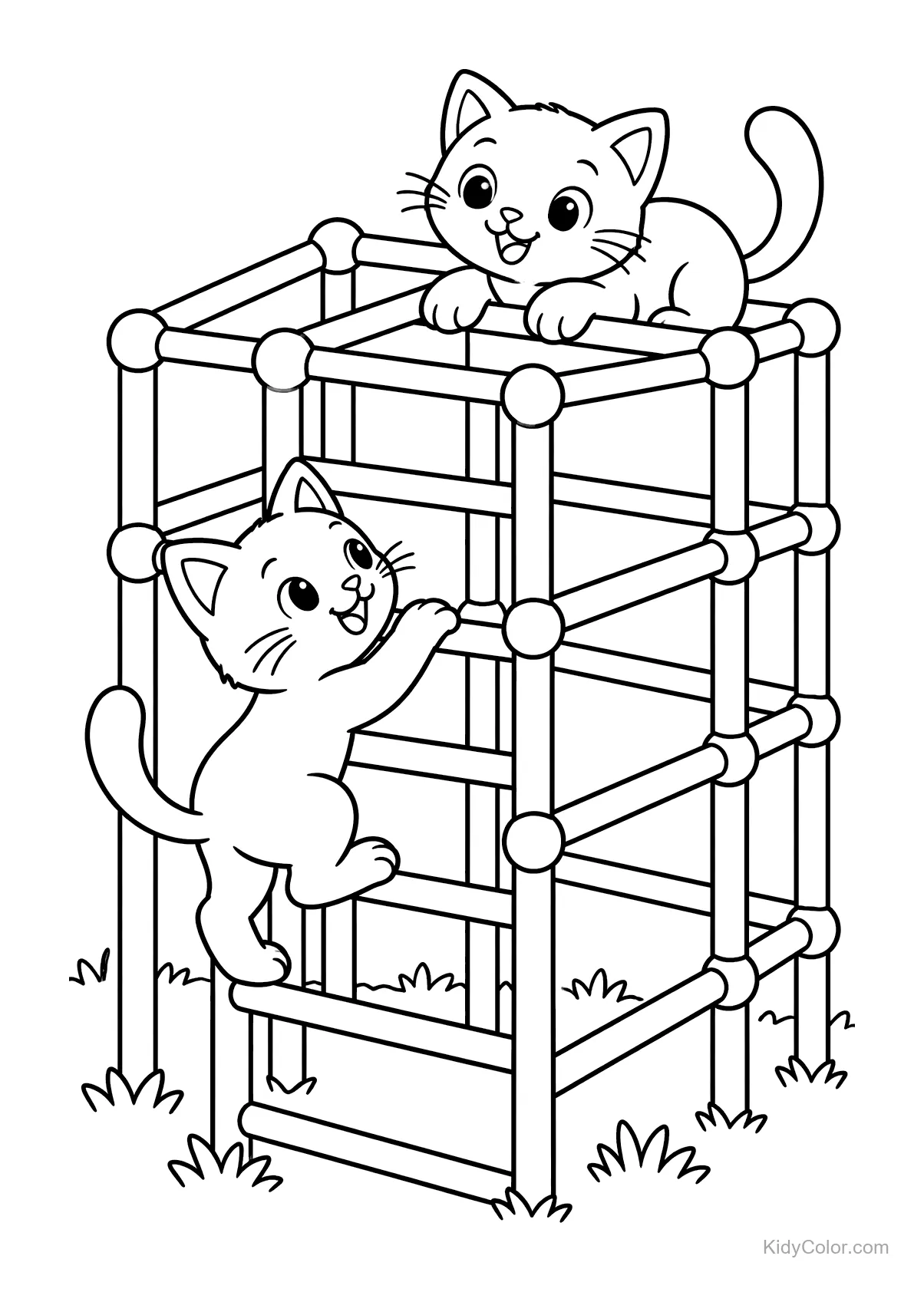 Due gatti su uno scivolo a rete, uno sale e l'altro è in cima.