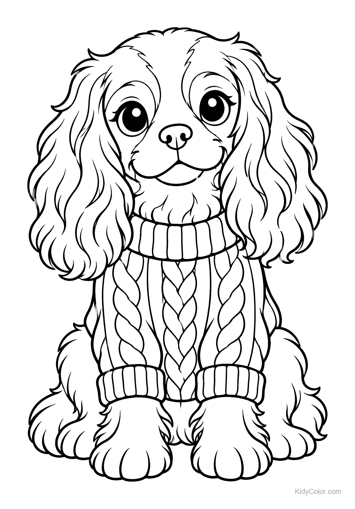 Cavalier King Charles Spaniel portant un pull douillet.