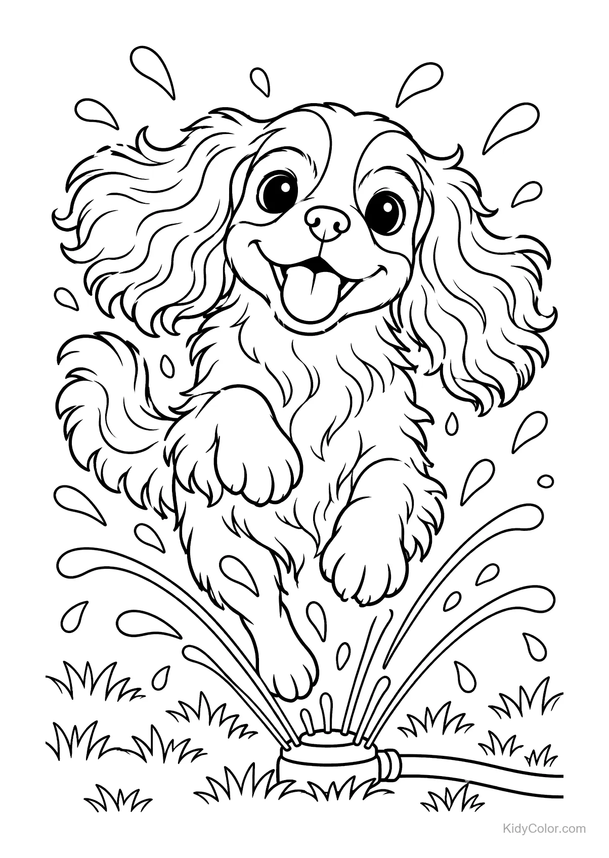 Cavalier King Charles Spaniel springt durch einen Rasensprenger.