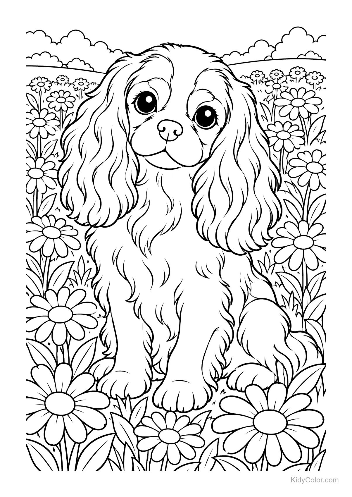 Cavalier King Charles Spaniel sitzt in einem Gänseblümchenfeld.