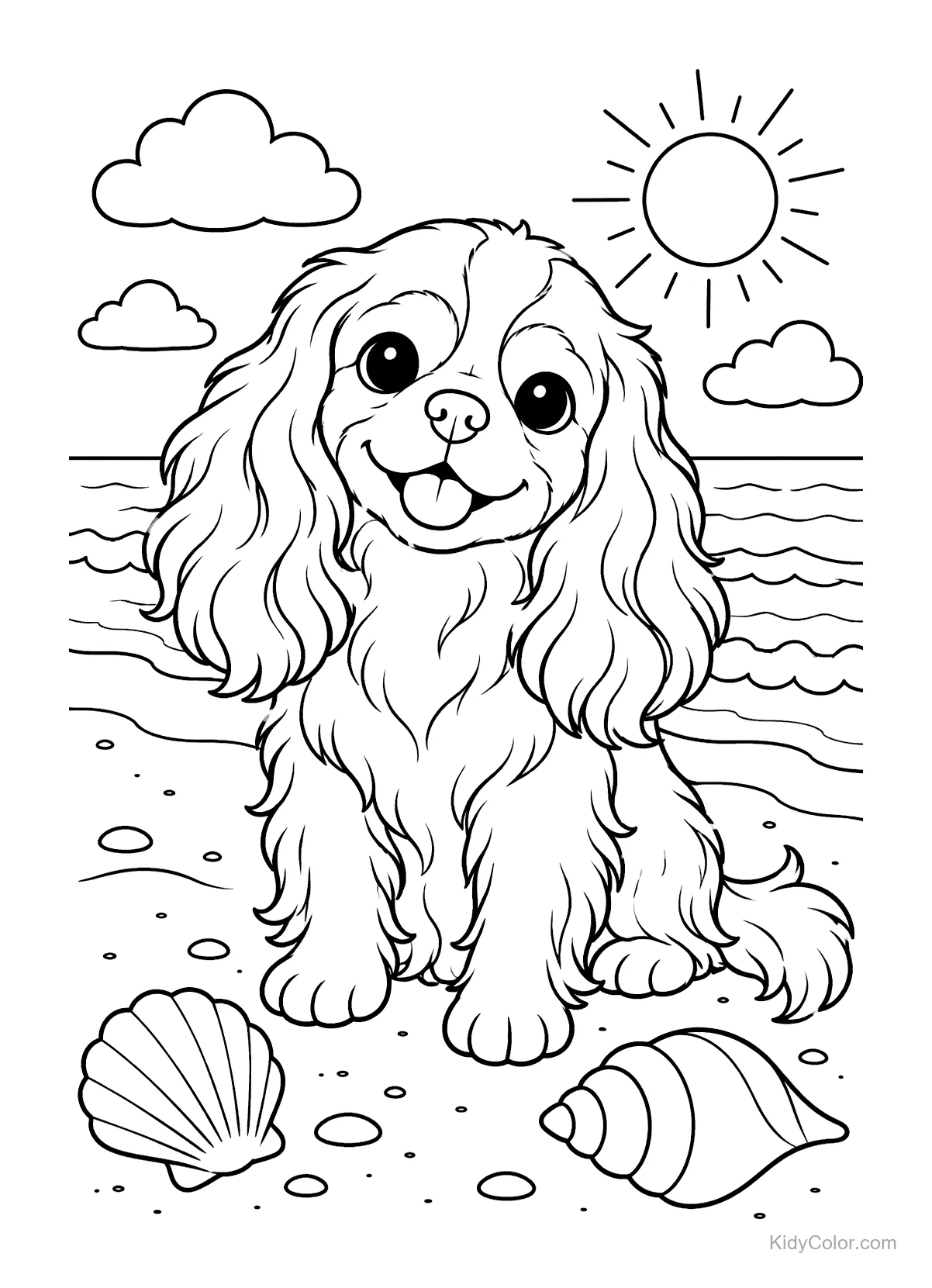 Cavalier King Charles Spaniel op een strand met schelpen en golven.