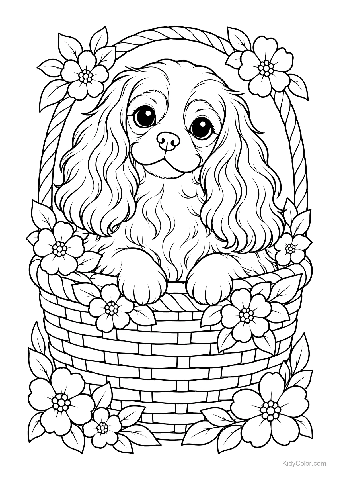 Cavalier King Charles Spaniel in einem Blumenkorb.