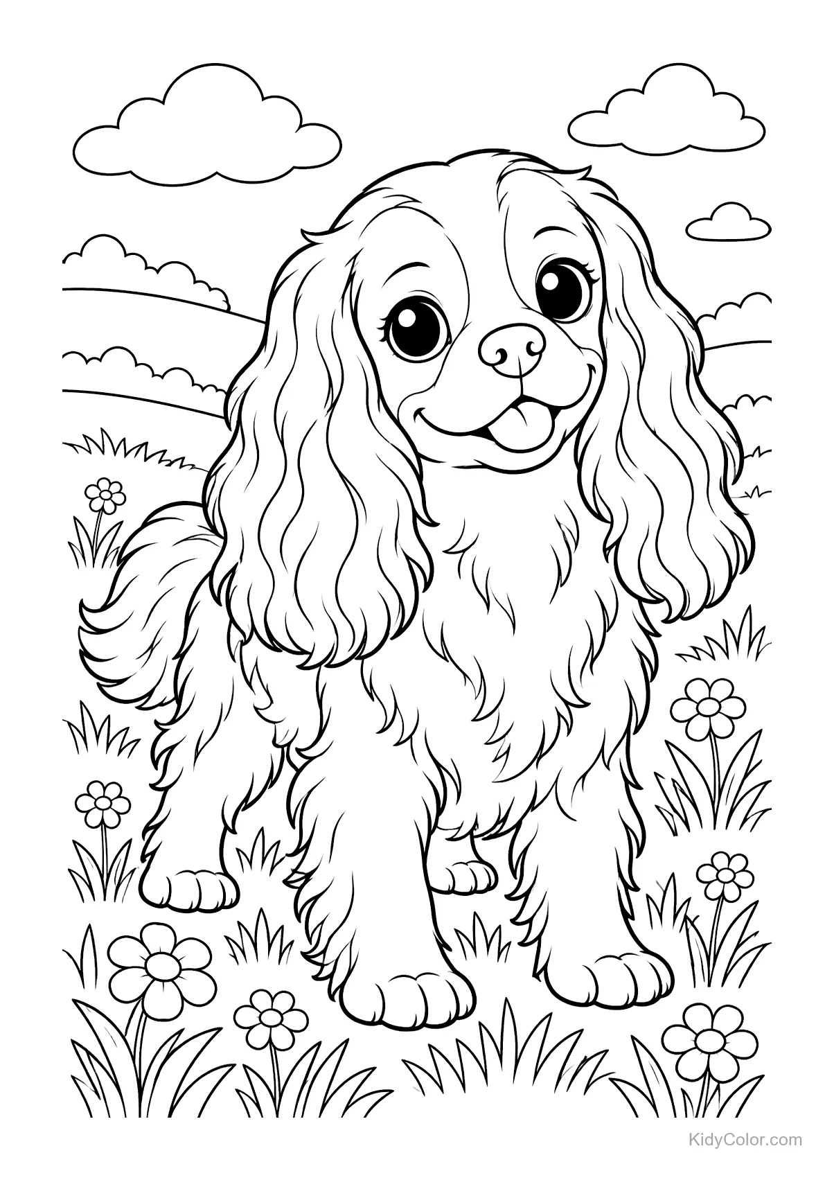 Cavalier King Charles Spaniel steht in einer Wiese mit Blumen.