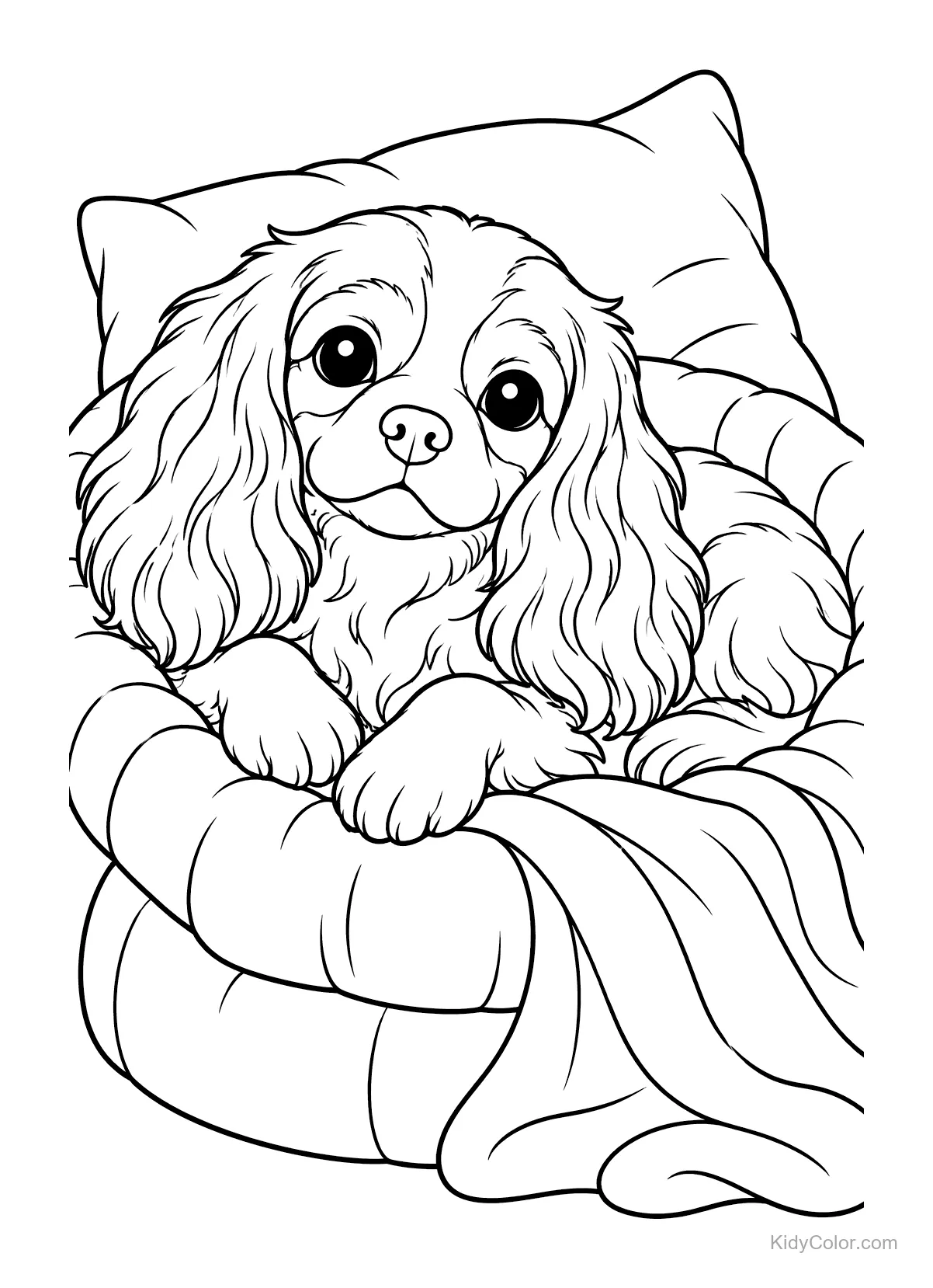 Cavalier King Charles Spaniel resting in a cozy bed.