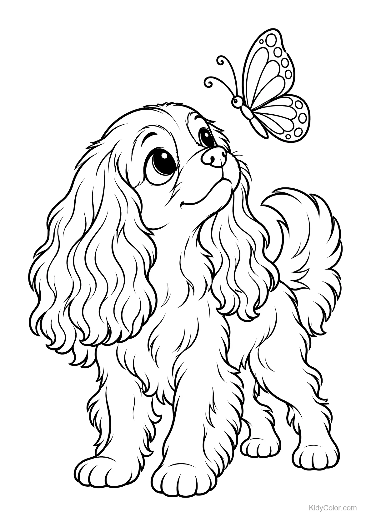 Cavalier King Charles-spaniel kijkt naar een vlinder.