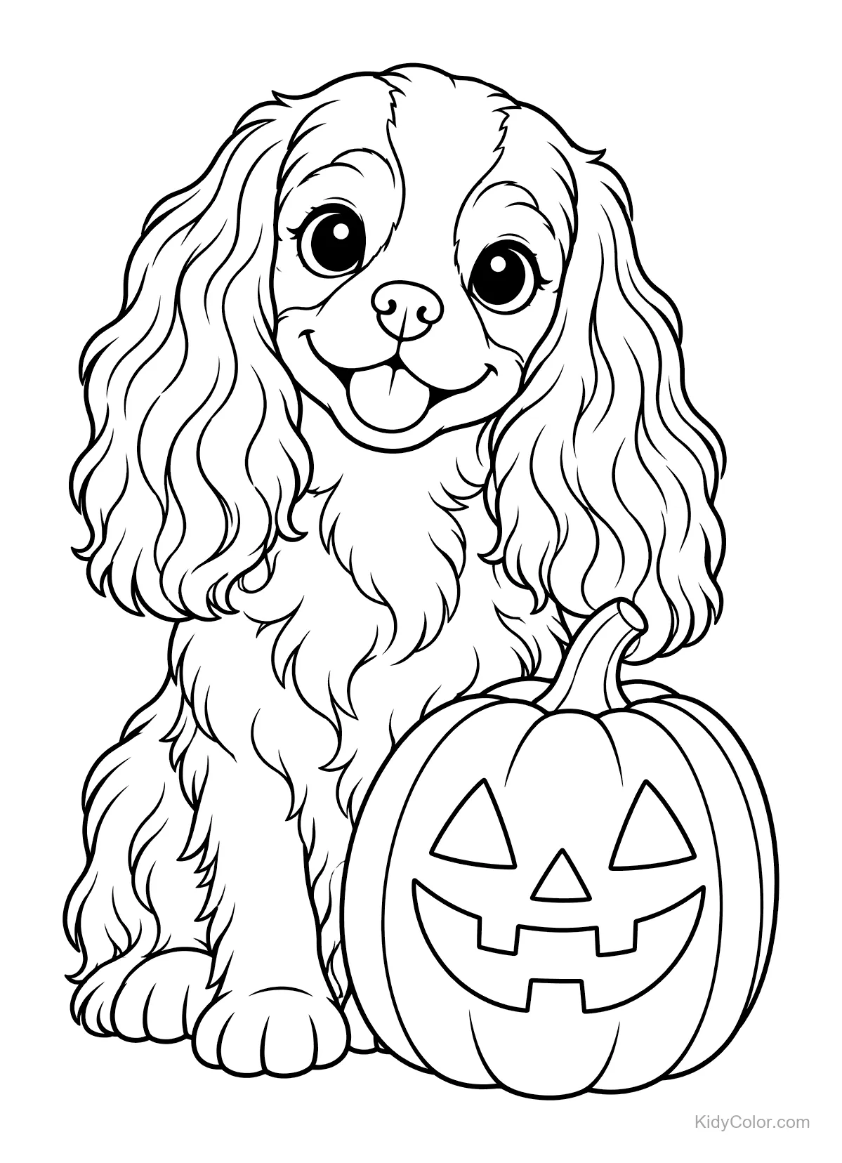 Cavalier King Charles Spaniel assis à côté d'une citrouille d'Halloween.