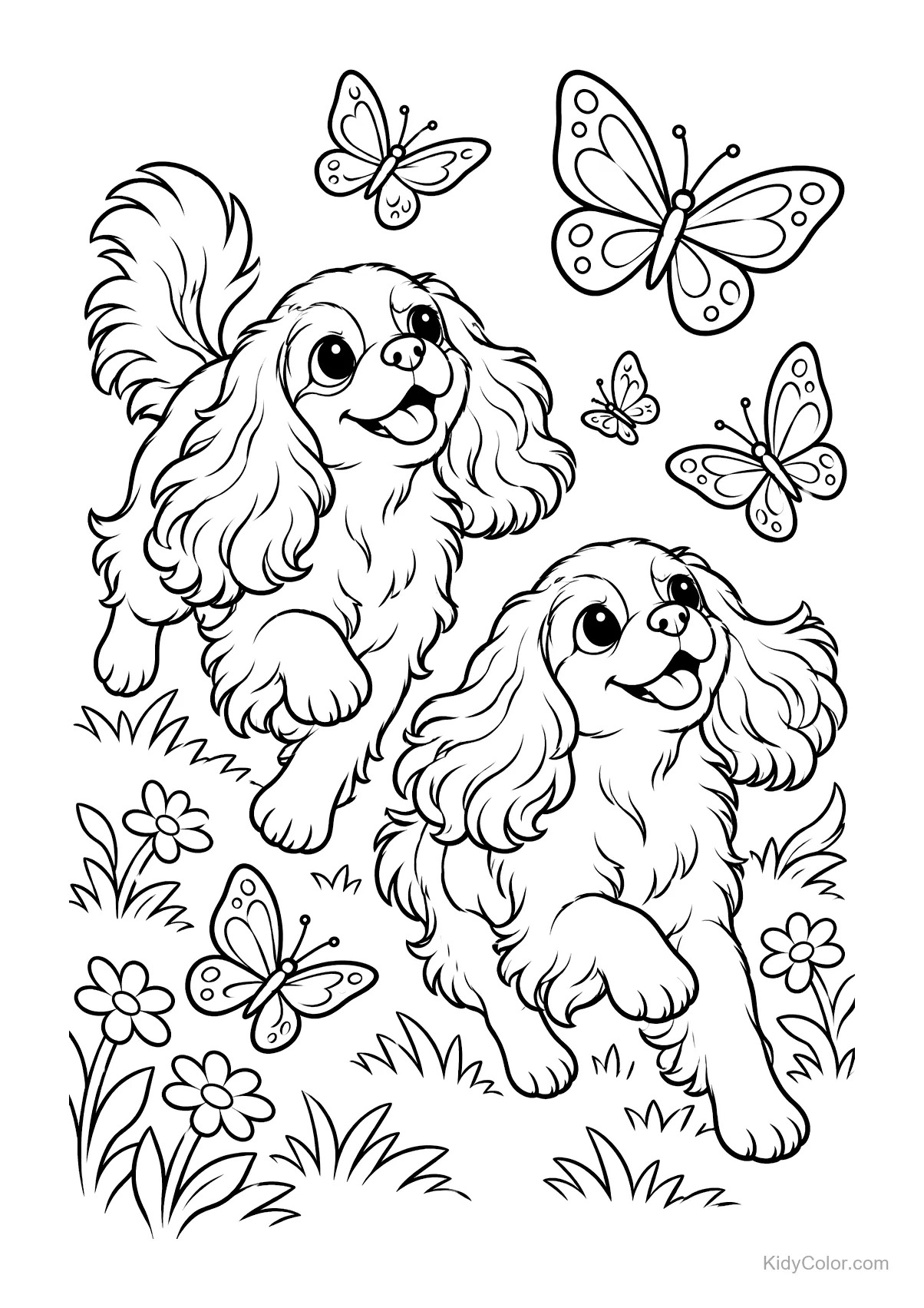 Zwei Cavalier Spaniel Hunde jagen Schmetterlinge zwischen Blumen.
