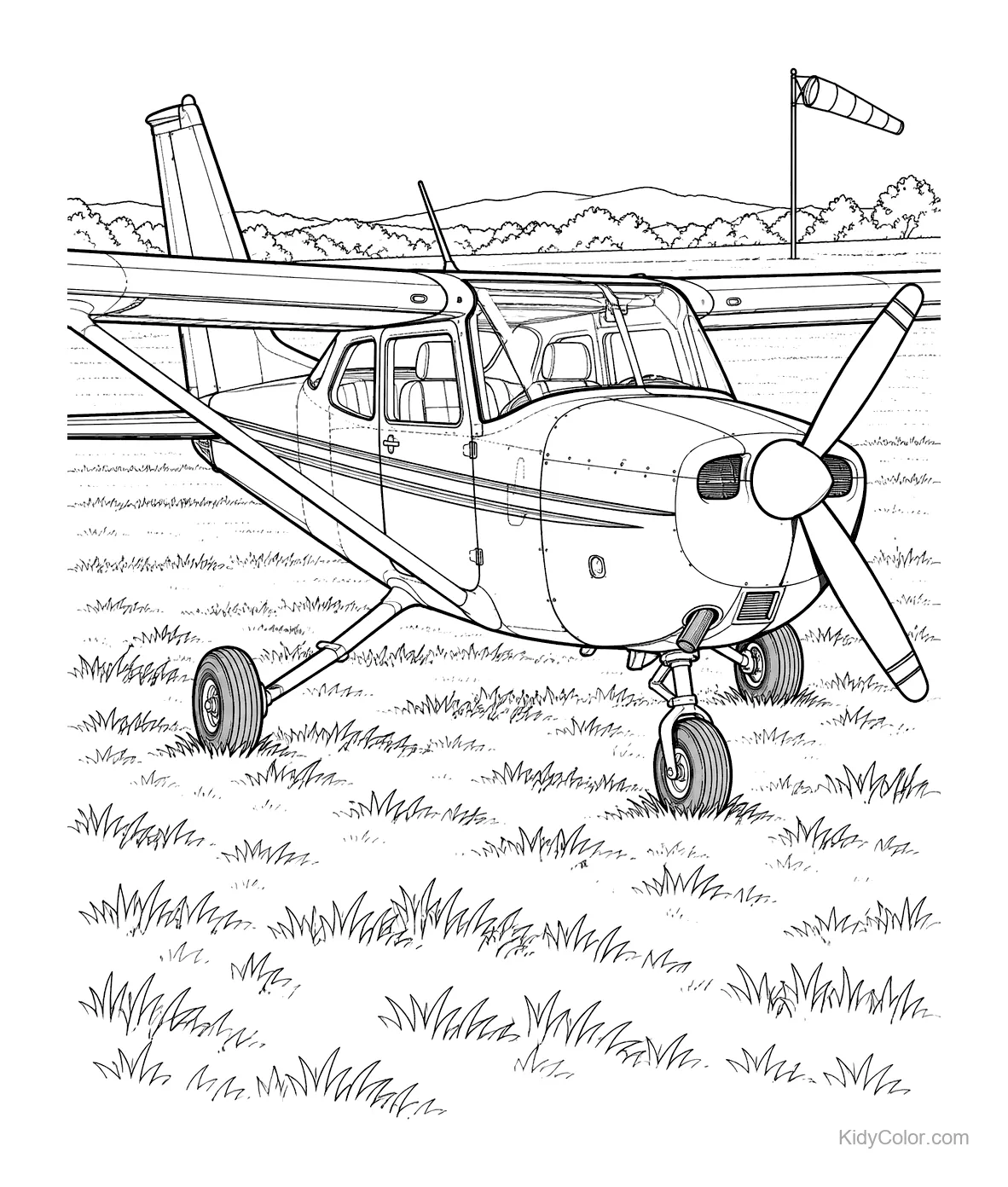 Cessna-style airplane on a grassy airstrip with a windsock.