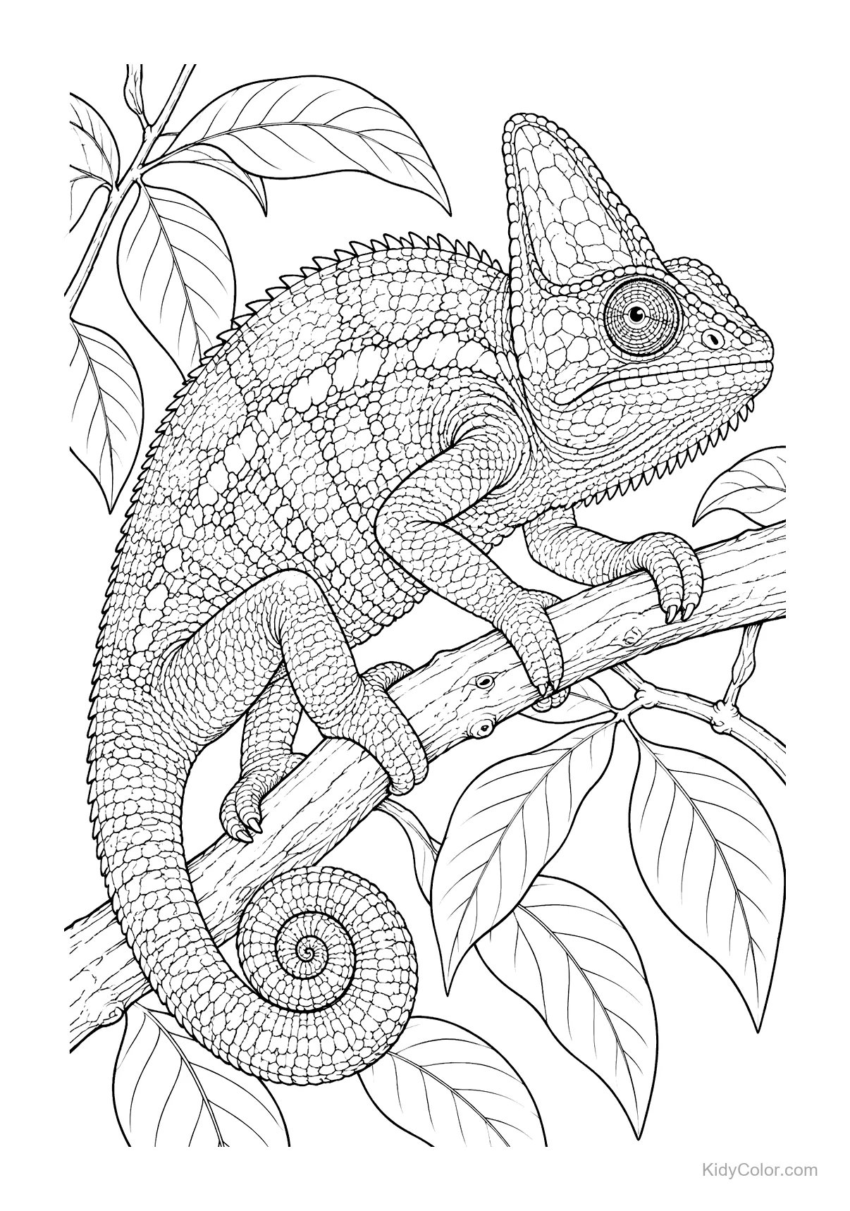 Chameleon on a branch with tropical leaves around.
