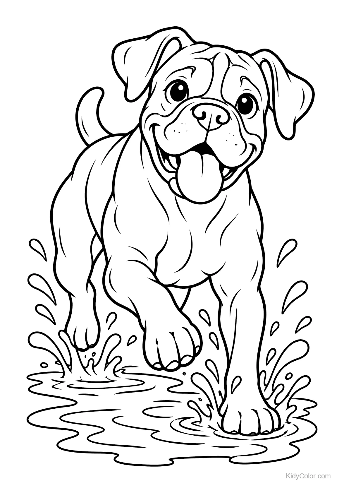 Cheerful boxer dog splashing in a puddle