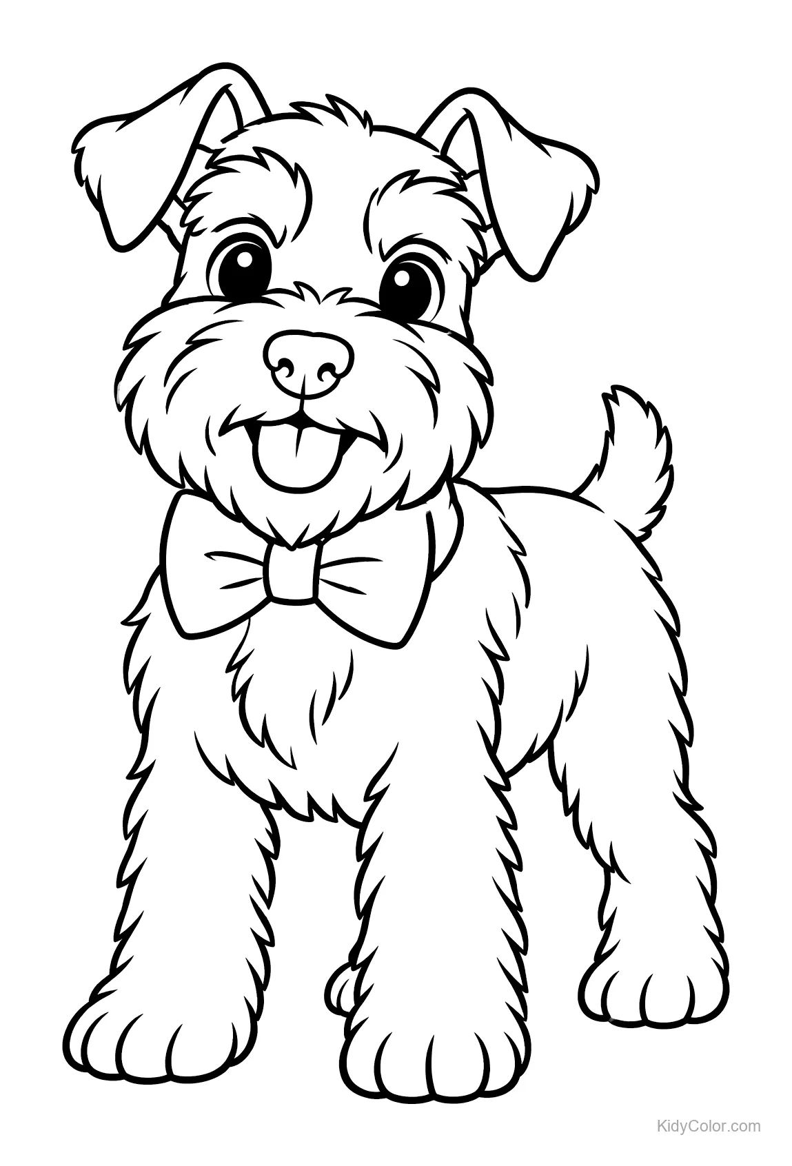 Schnauzer nain portant un nœud papillon, debout joyeusement.