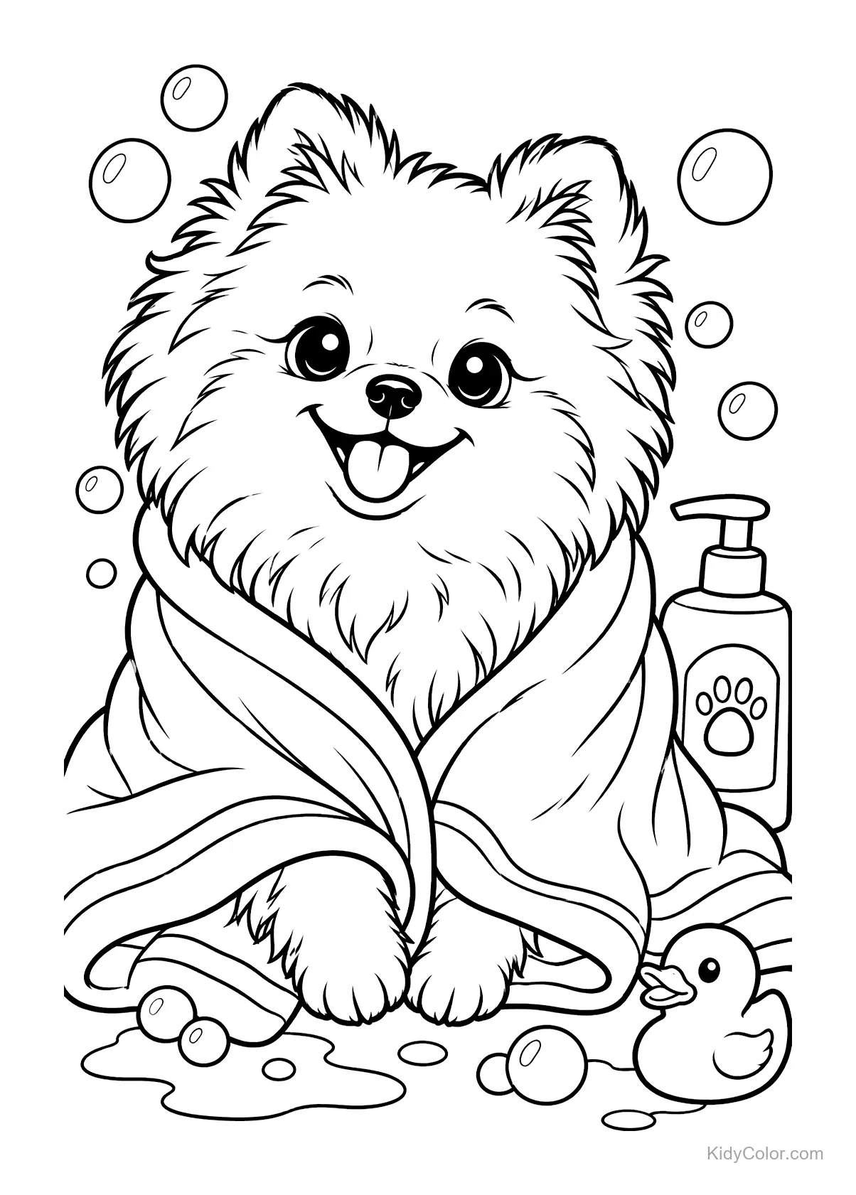 A fluffy Pomeranian wrapped in a towel with bubbles and a rubber duck.