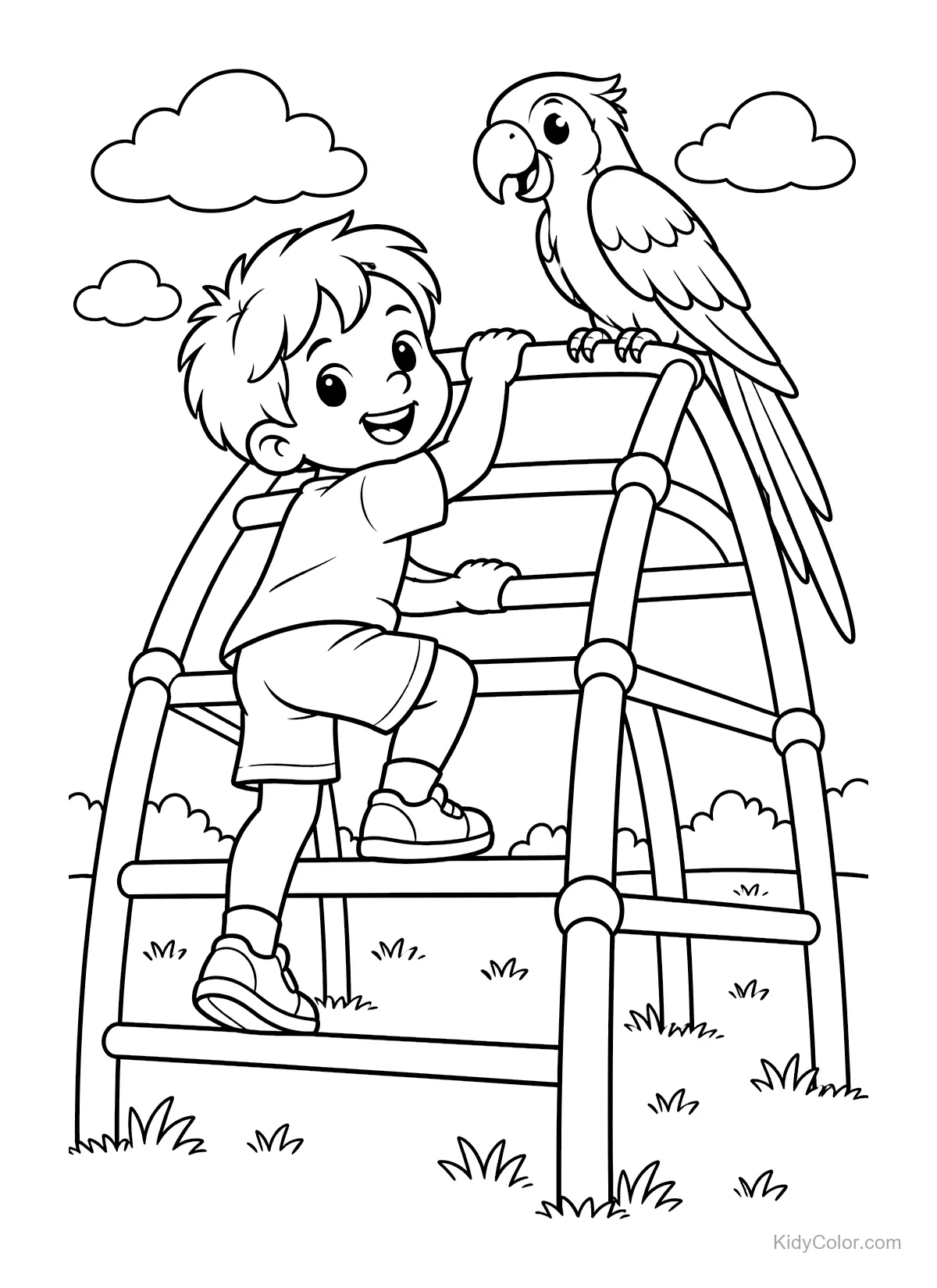 Niño trepando en estructura de parque con un loro cerca.