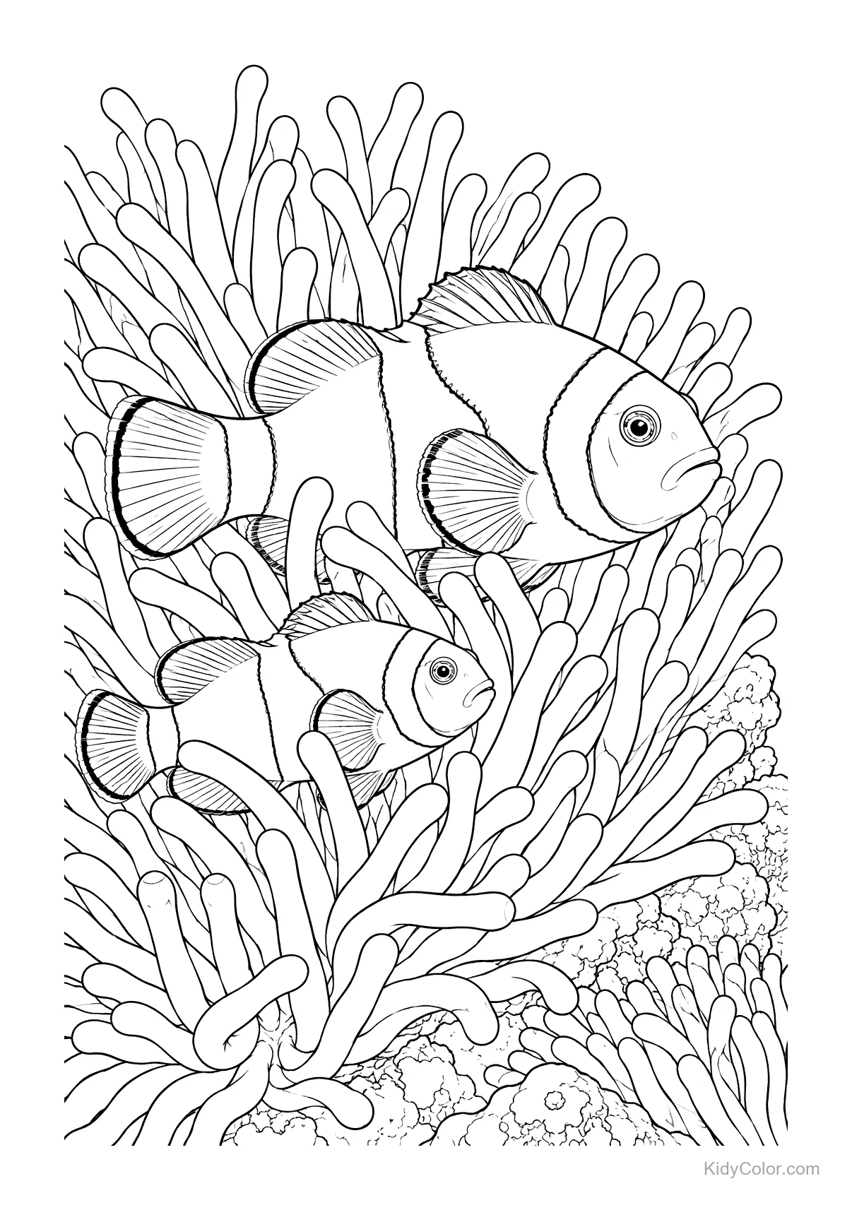 Clownfish swimming among anemone tentacles line art.