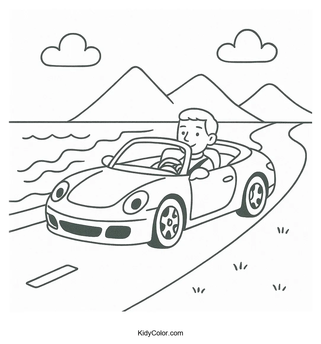 Coastal drive scenery with ocean, road, and palm trees.