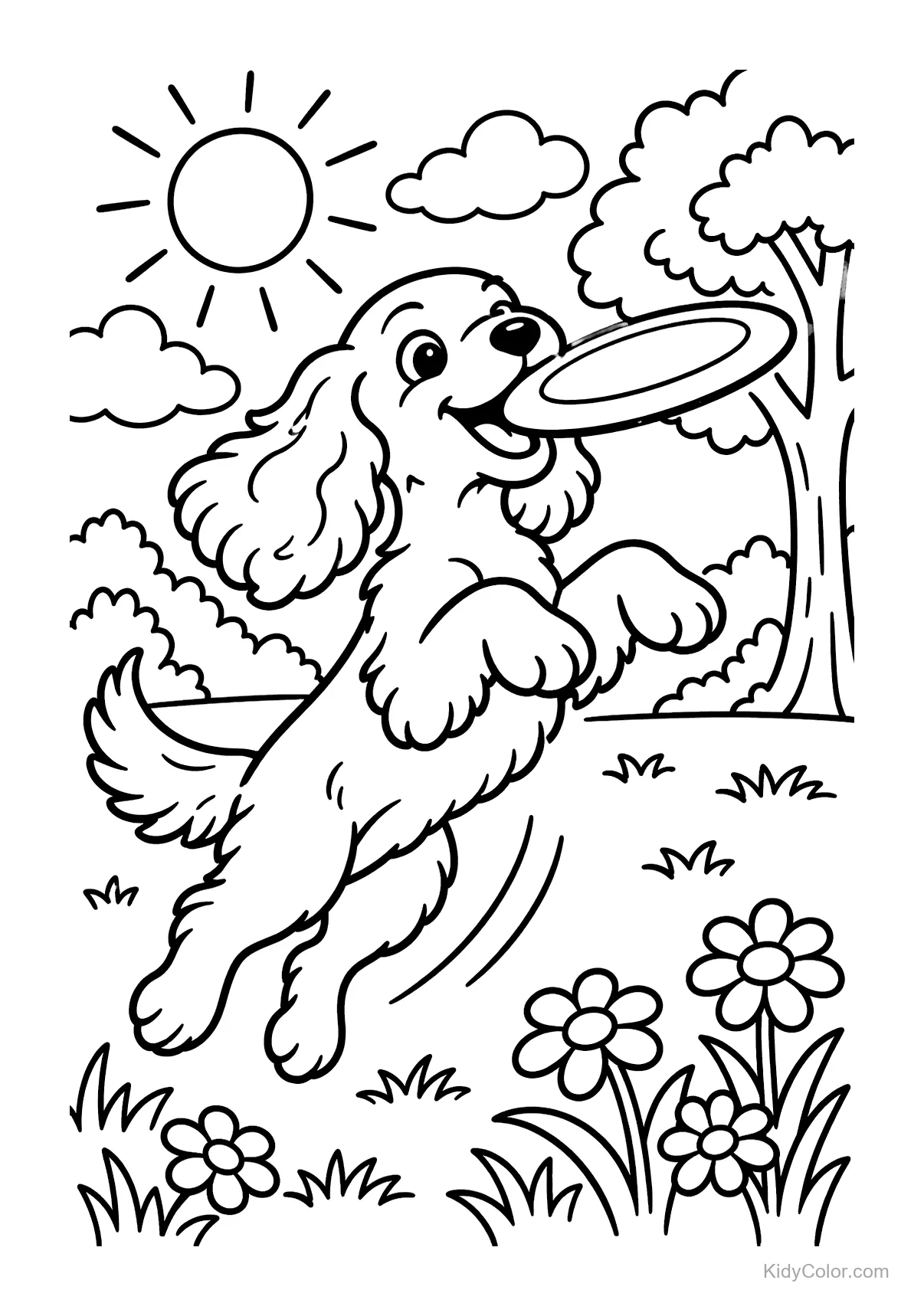Cocker Spaniel jumping to catch a frisbee in a sunny park.