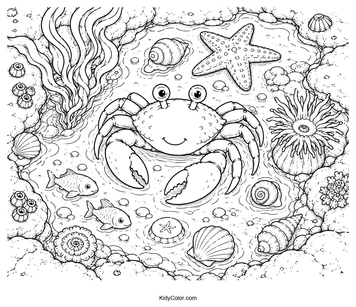 Crab in a tide pool with fish, starfish, and shells.