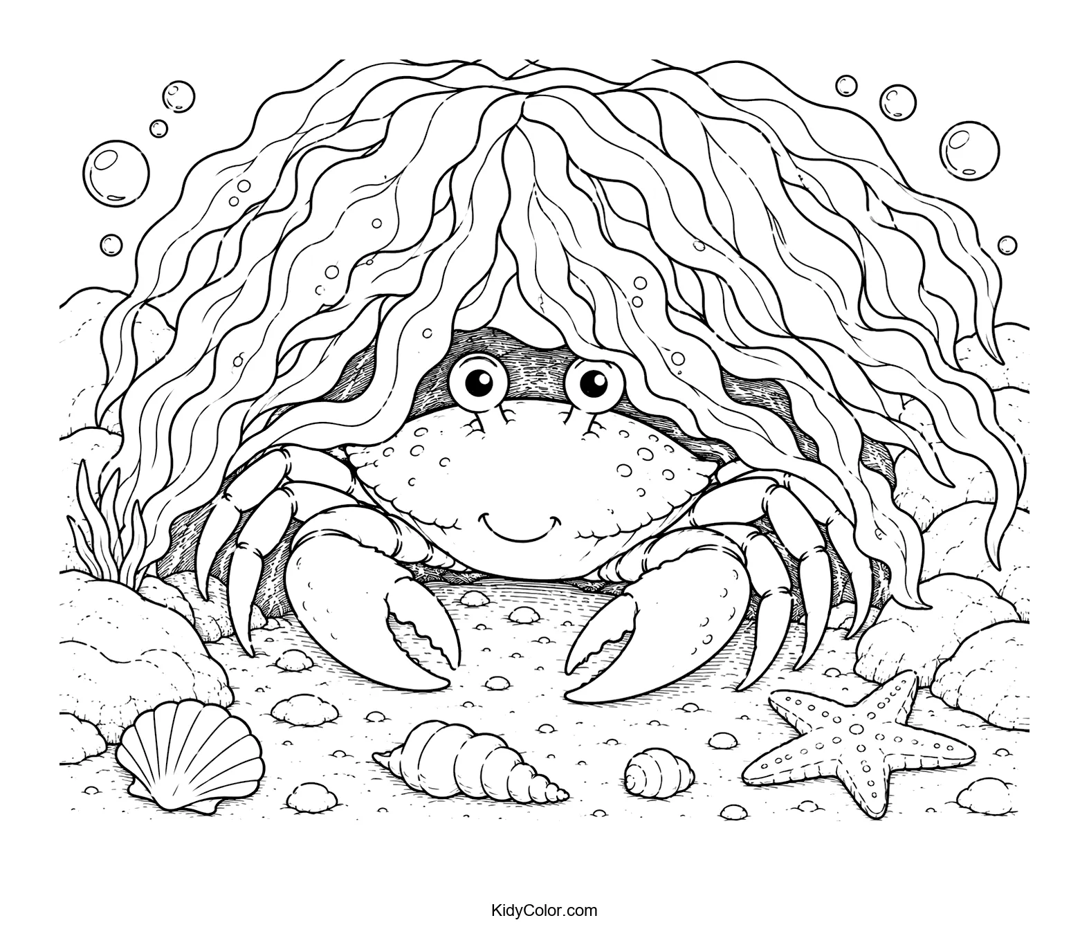A crab hiding under seaweed with seashells and a starfish nearby.