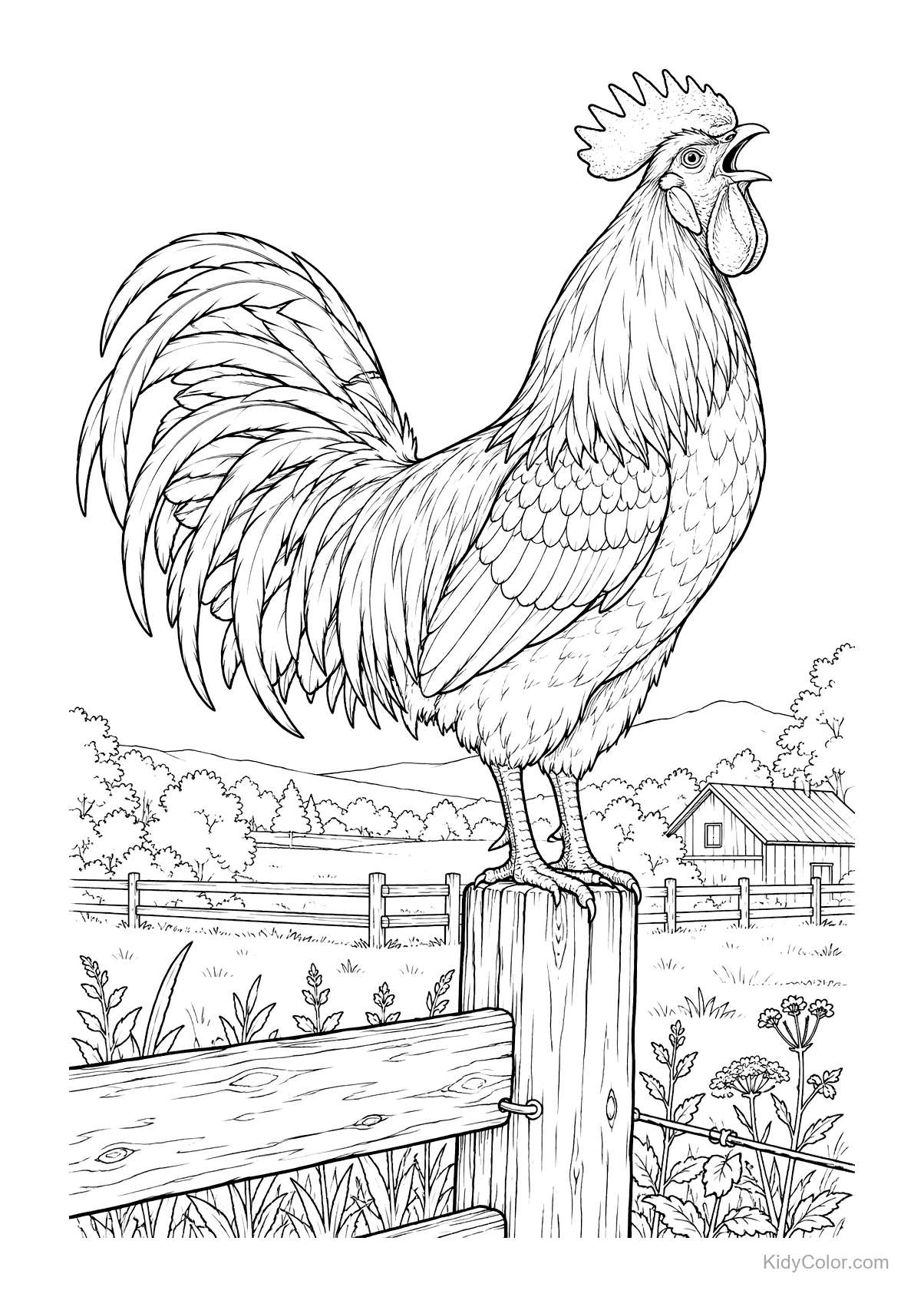 A rooster crowing on a country fencepost with a barn in the background.