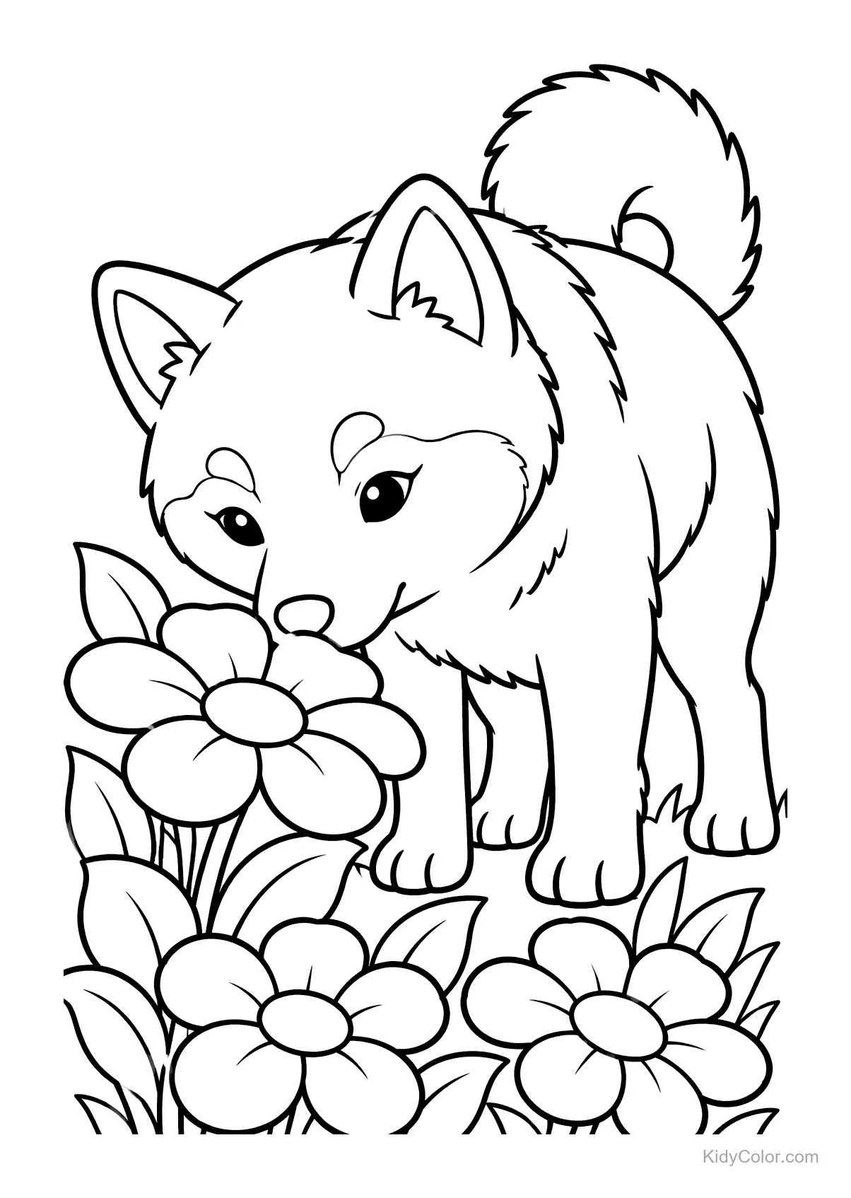 Shiba Inu curieux reniflant un groupe de fleurs.
