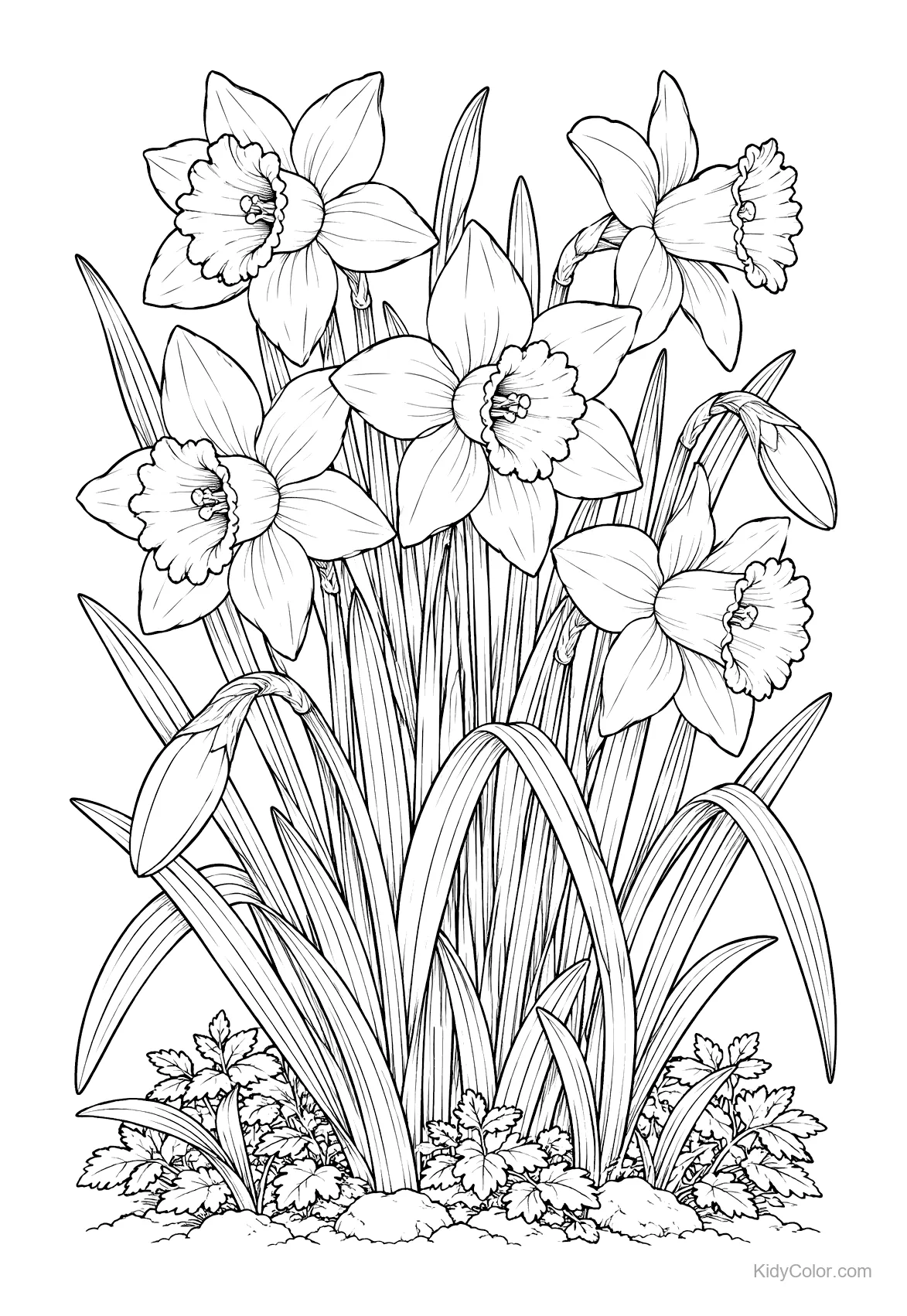A cluster of daffodil flowers with detailed petals and leaves.