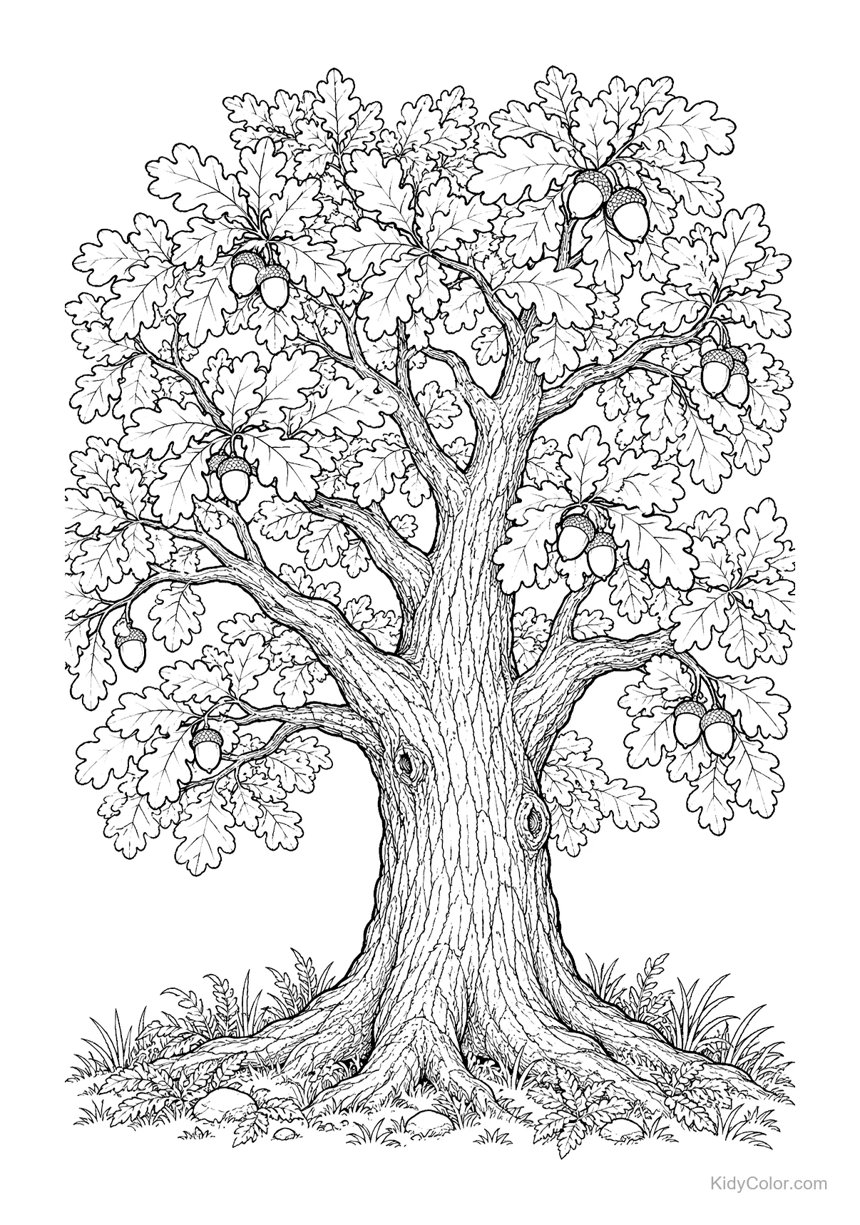 Majestic oak tree with detailed leaves and acorns.