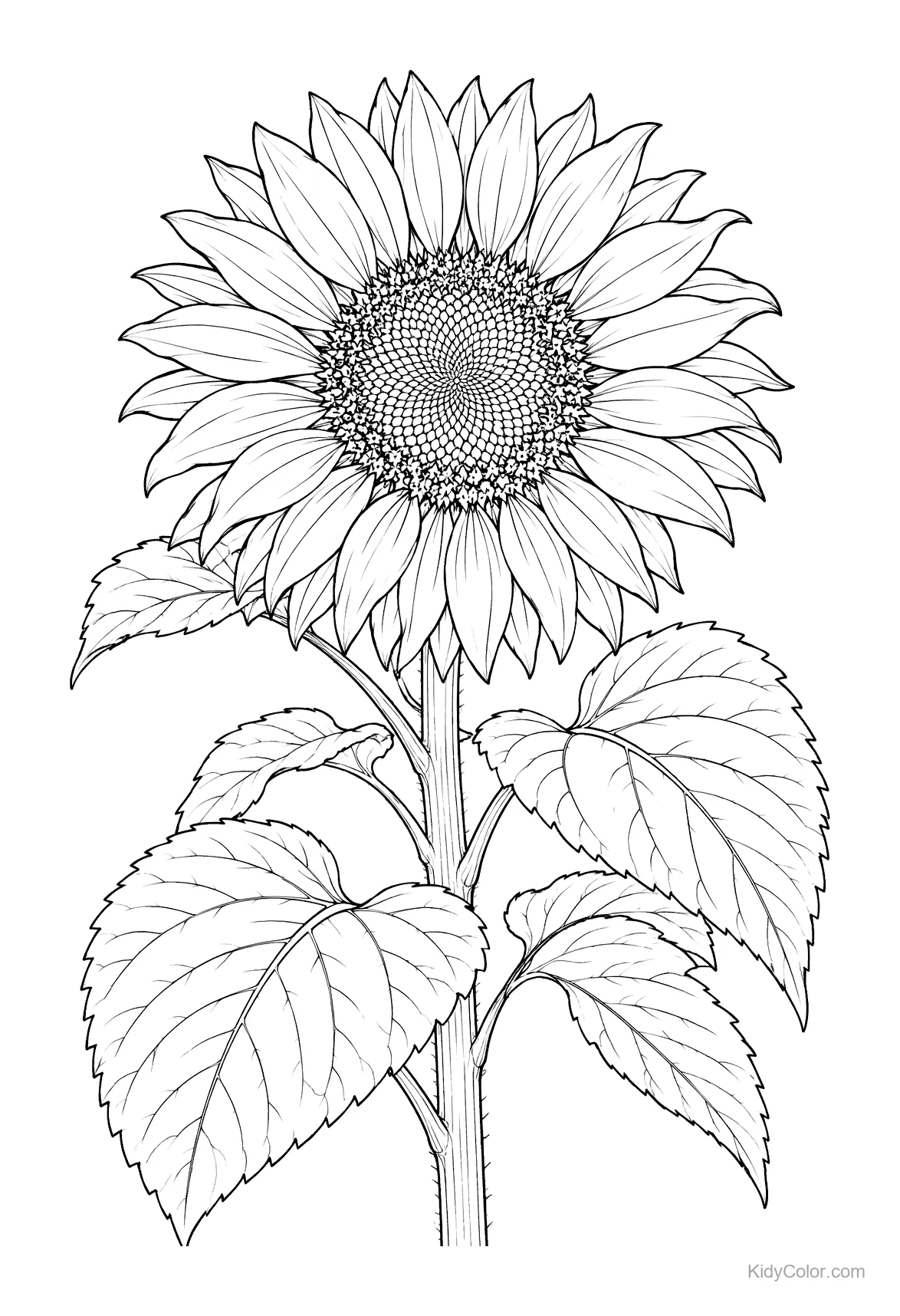 A detailed sunflower with petals, stem, and leaves in line art.