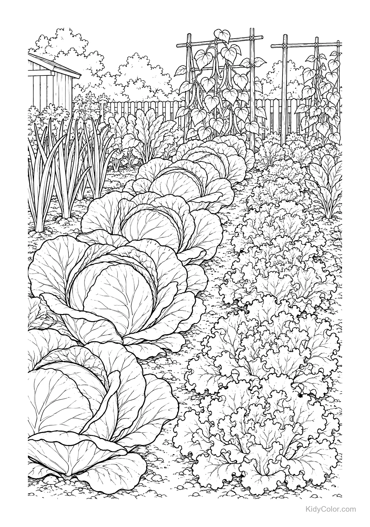 Detailed vegetable garden with cabbages, lettuce, and trellised beans.
