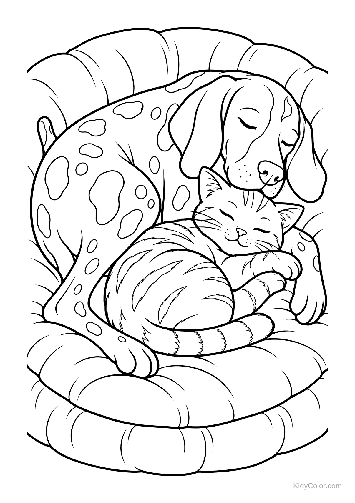 Un chien et un chat blottis ensemble sur un coussin.