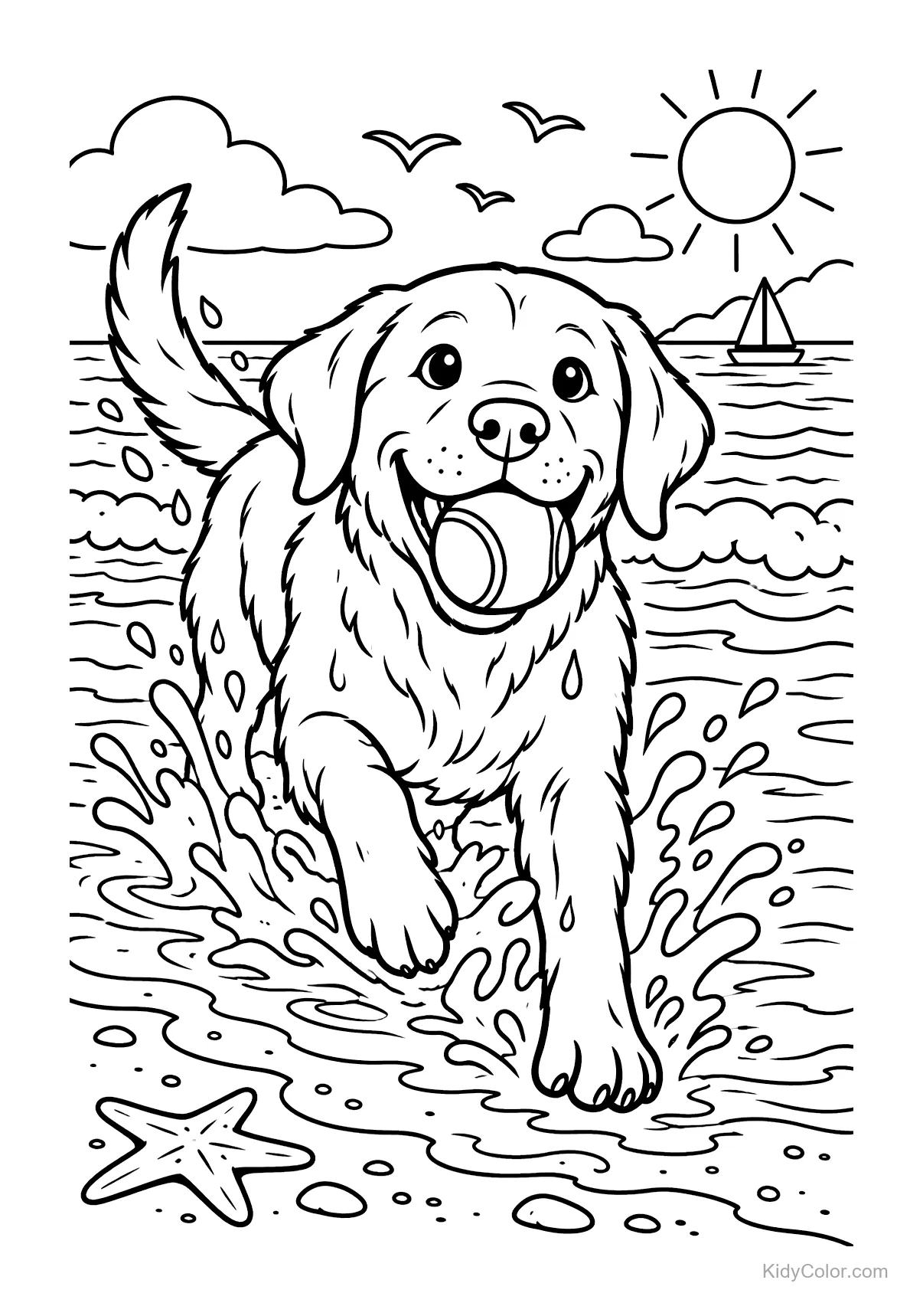 Dog with a ball running through beach waves on a sunny day.