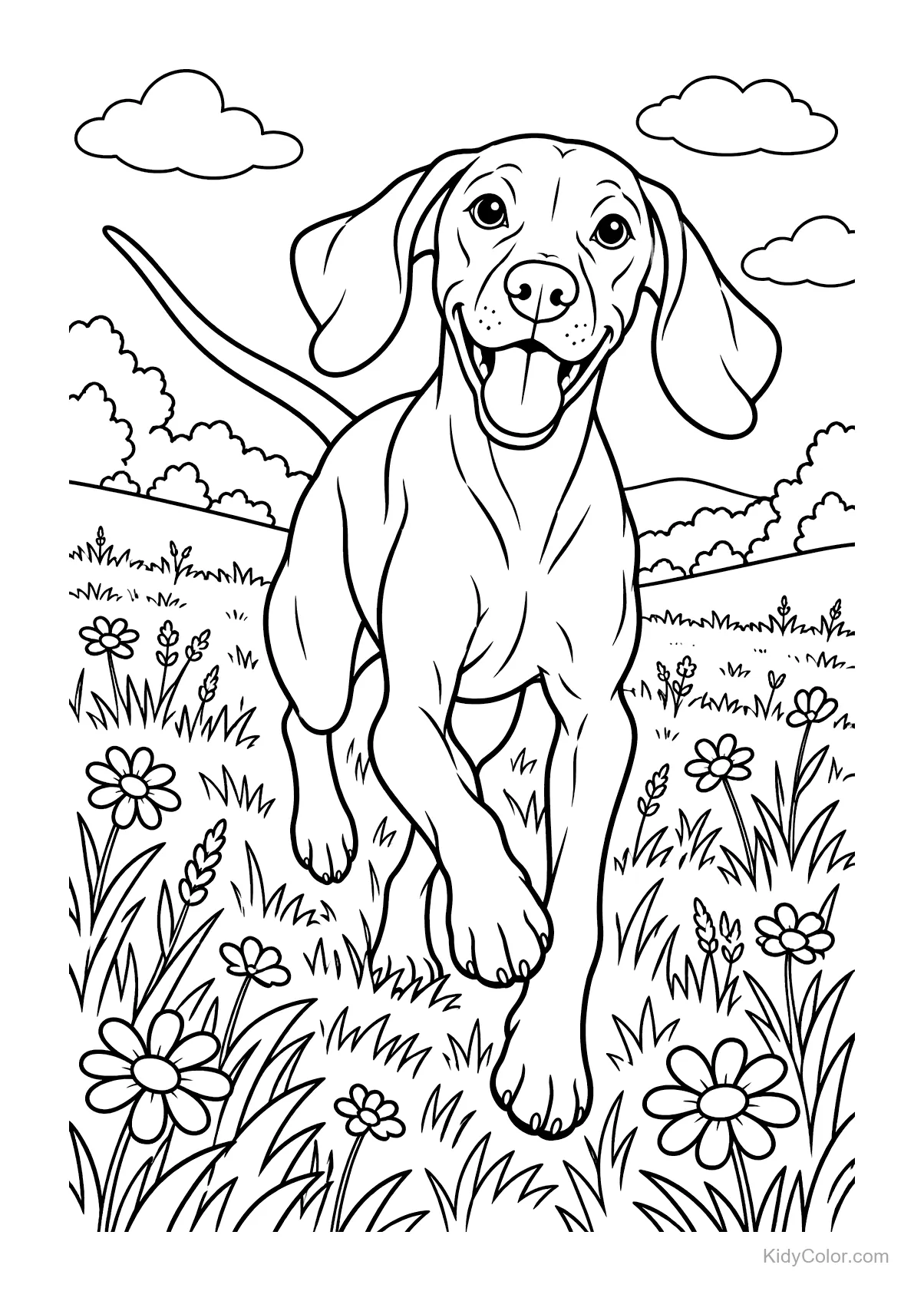 Vizsla dog running through a meadow with flowers and clouds.